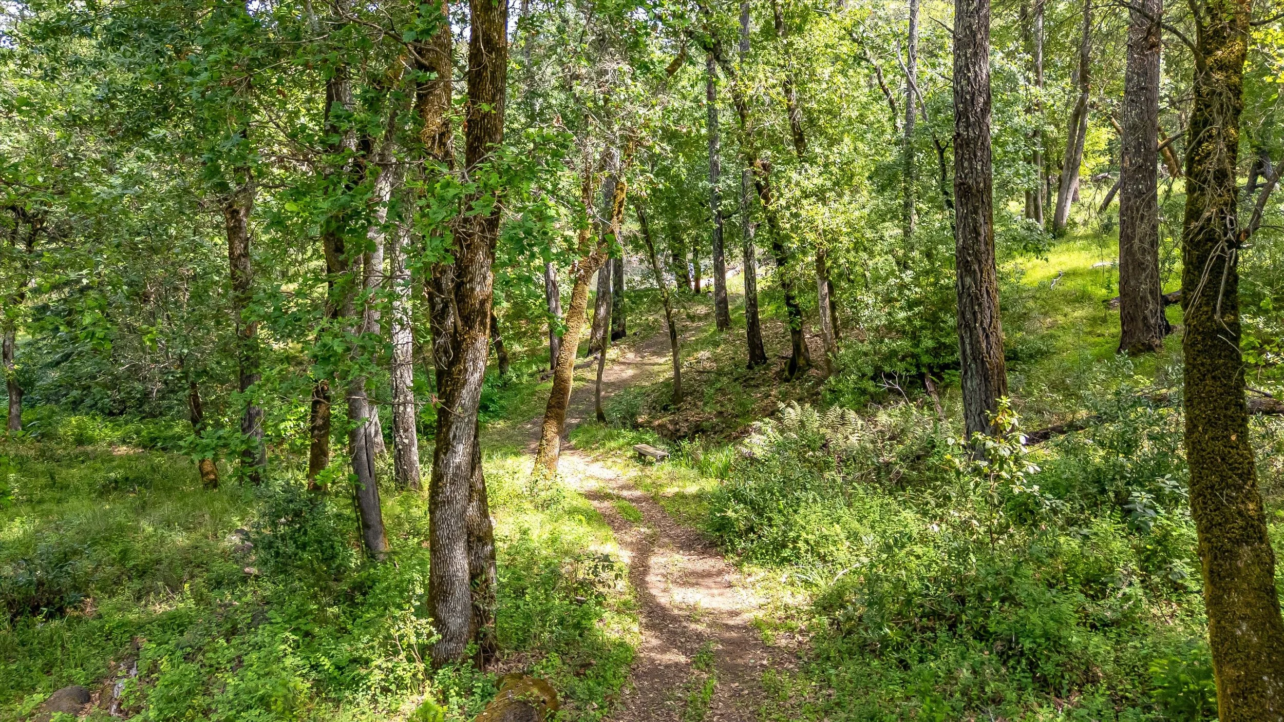 21.0 - 14-DJI_20260327132916_0041_D.jpg