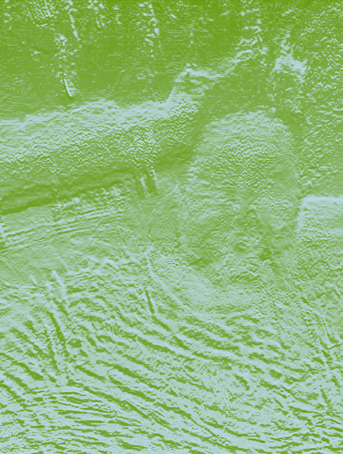 Original Image of Fellowship Records founder