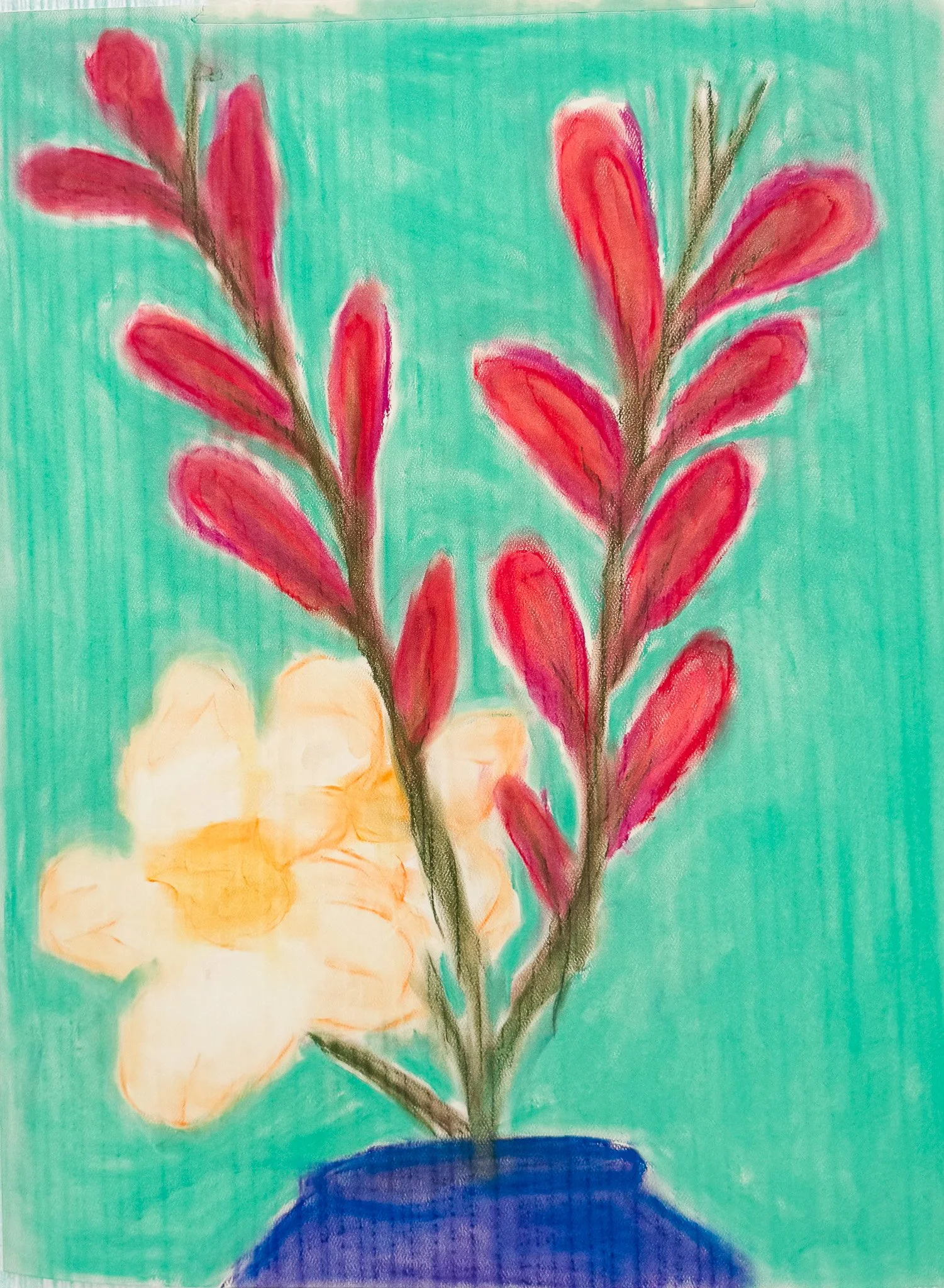 A colorful drawing of a potted plant with pink leaves and an orange flower, set against a turquoise background.