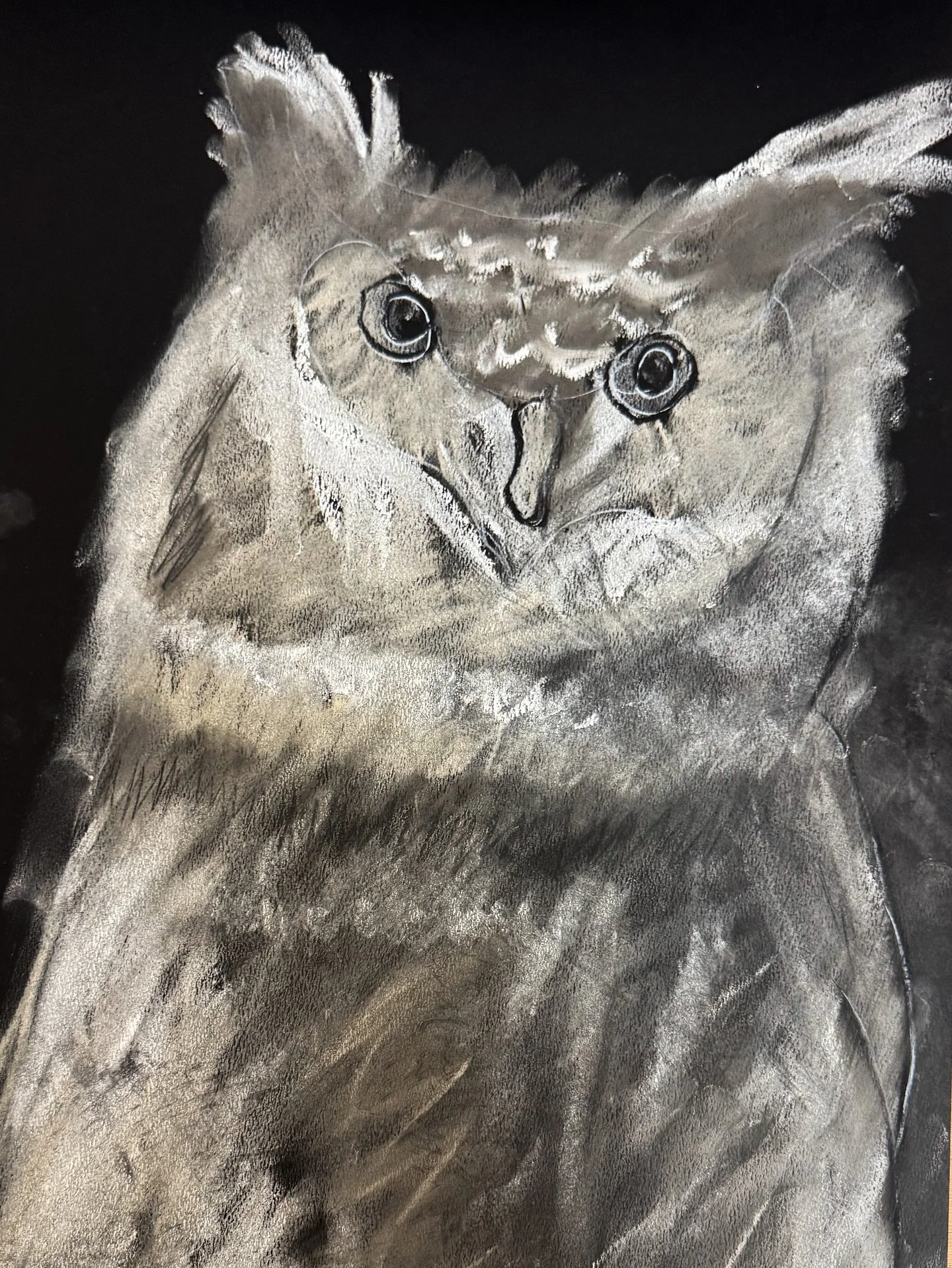 Whoooo whooo made these wonderful charcoal animal drawings!? Art foundations!