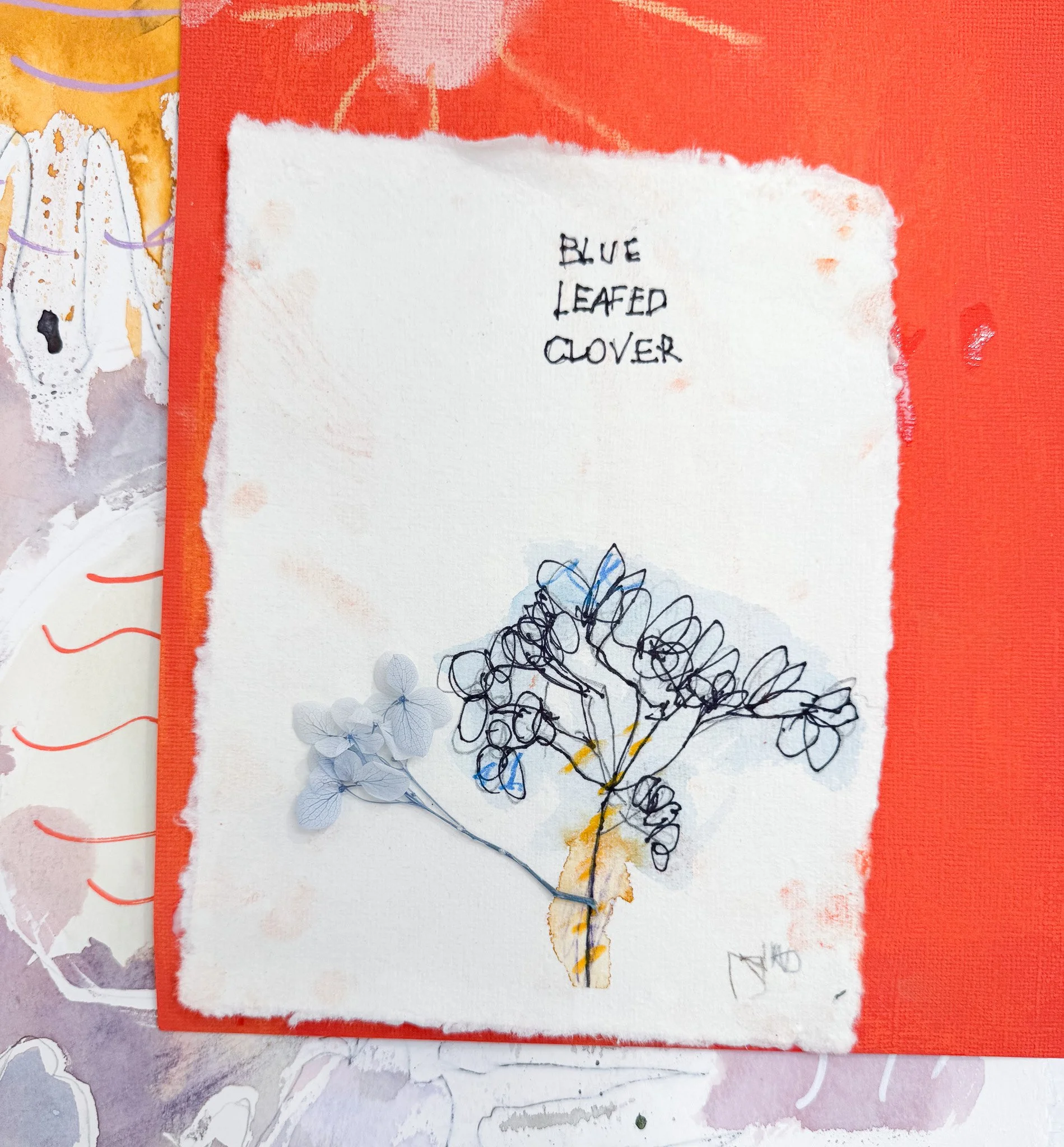 A piece of white textured paper with hand-drawn sketch of a blue-leafed clover plant and small blue paper flowers attached to it. Handwritten text at the top reads 'Blue Leafed Clover'. The paper is set on a red background with artistic patterns surr