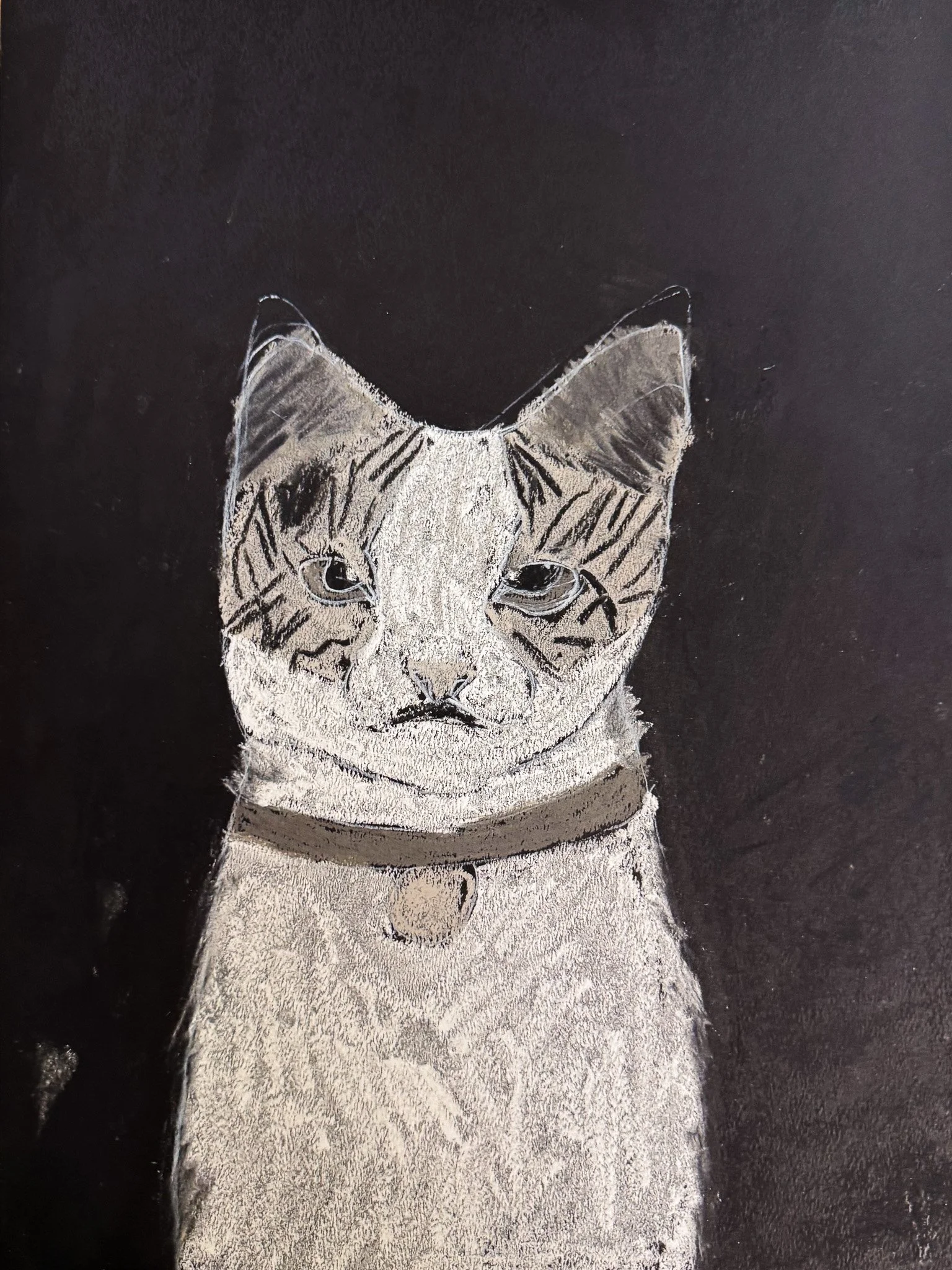 Drawing of a cat with a serious expression, white fur with black stripes on face, and wearing a collar with a round tag, against a black background.
