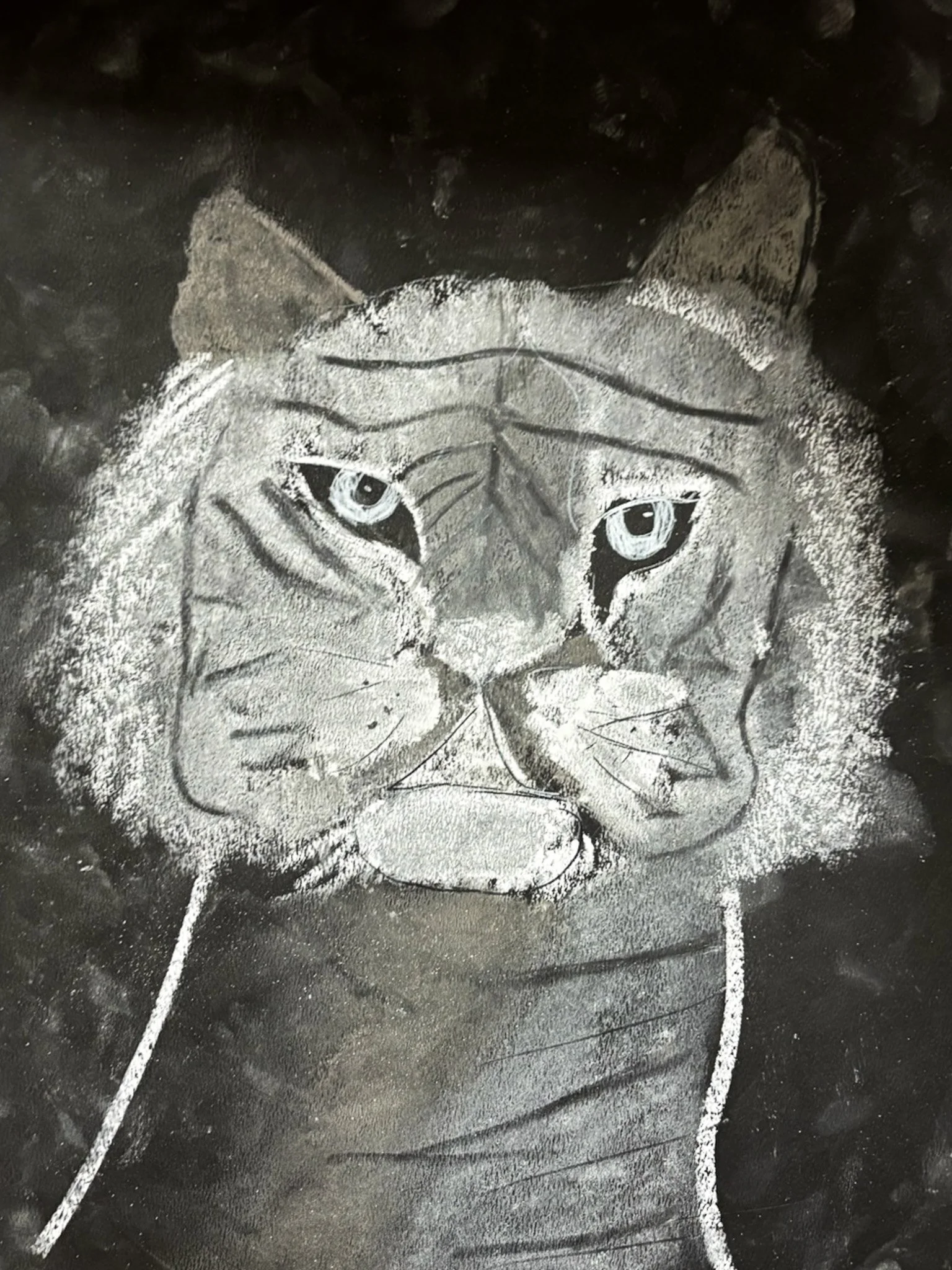 Chalk drawing of a lion's face with detailed eyes and mane.