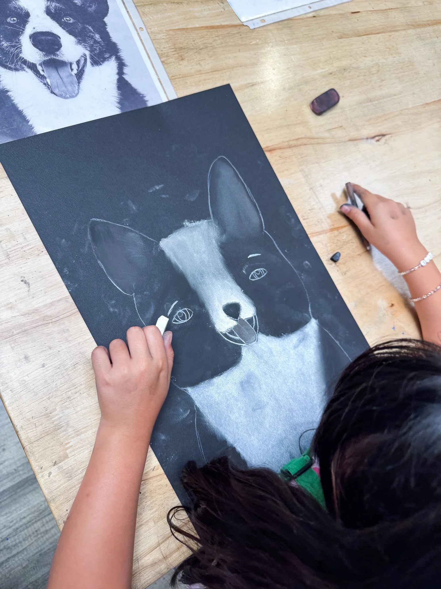 Child drawing a realistic black and white dog portrait on black paper with a white chalk or pastel stick, with a photo of the same dog nearby.