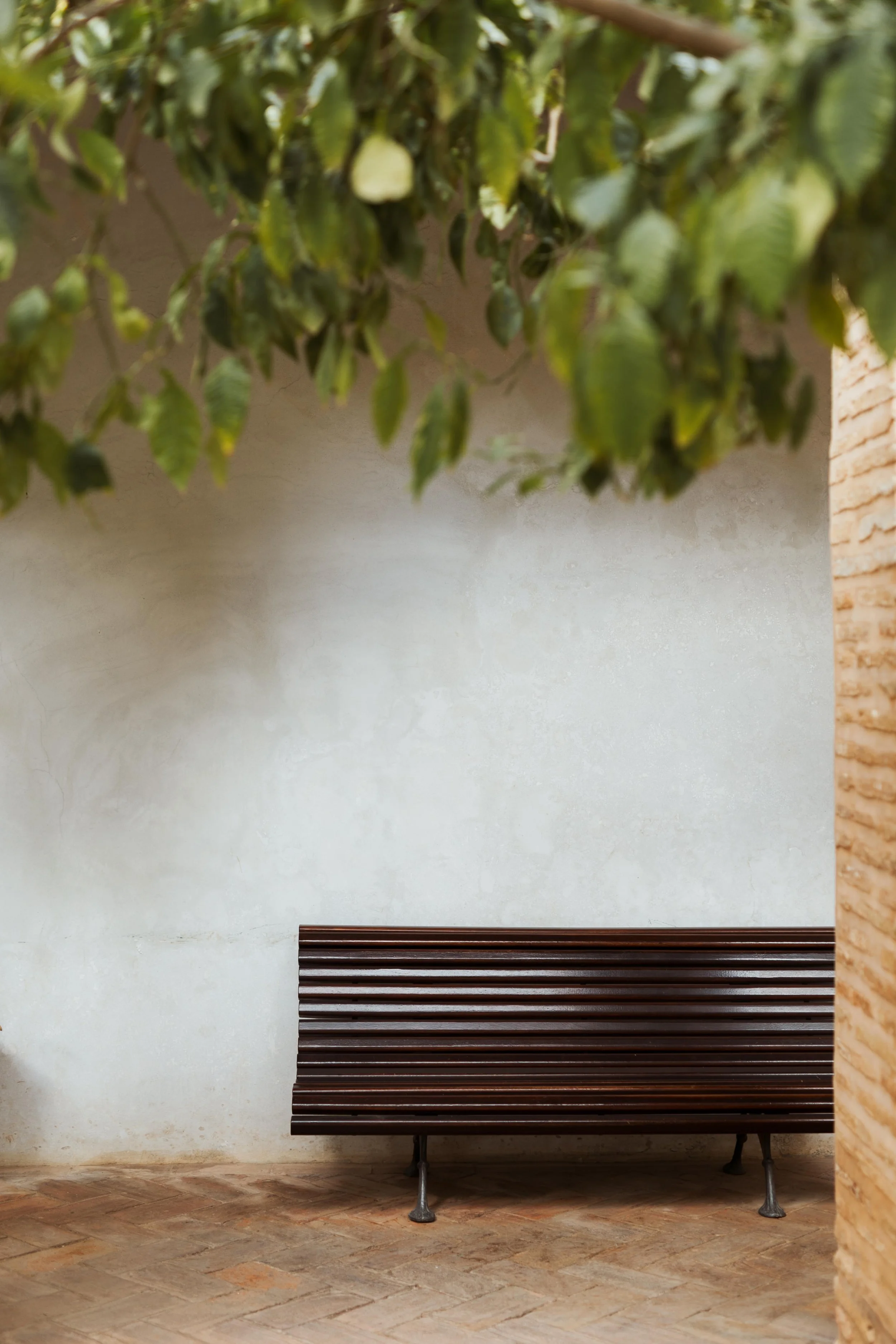 Wooden bench under green tree leaves against a textured wall.