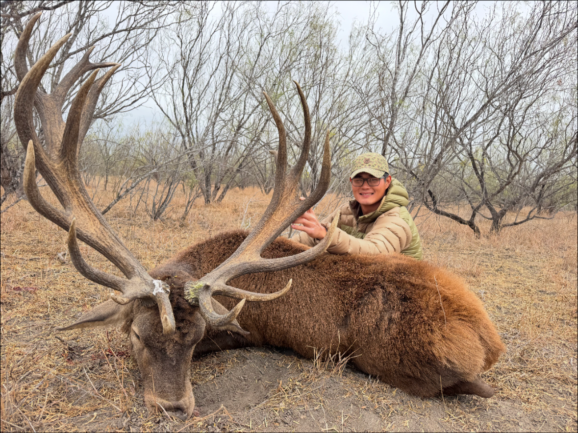 stag+harvest+1.png