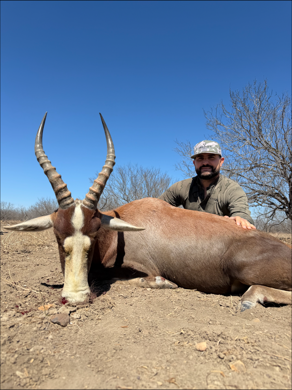 blesbok+harvest+2.png