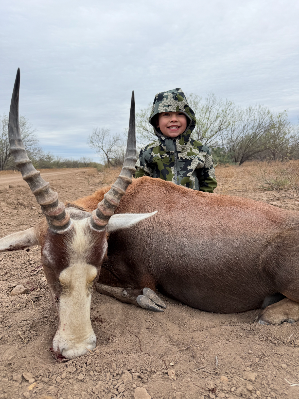 Blesbok+1.png