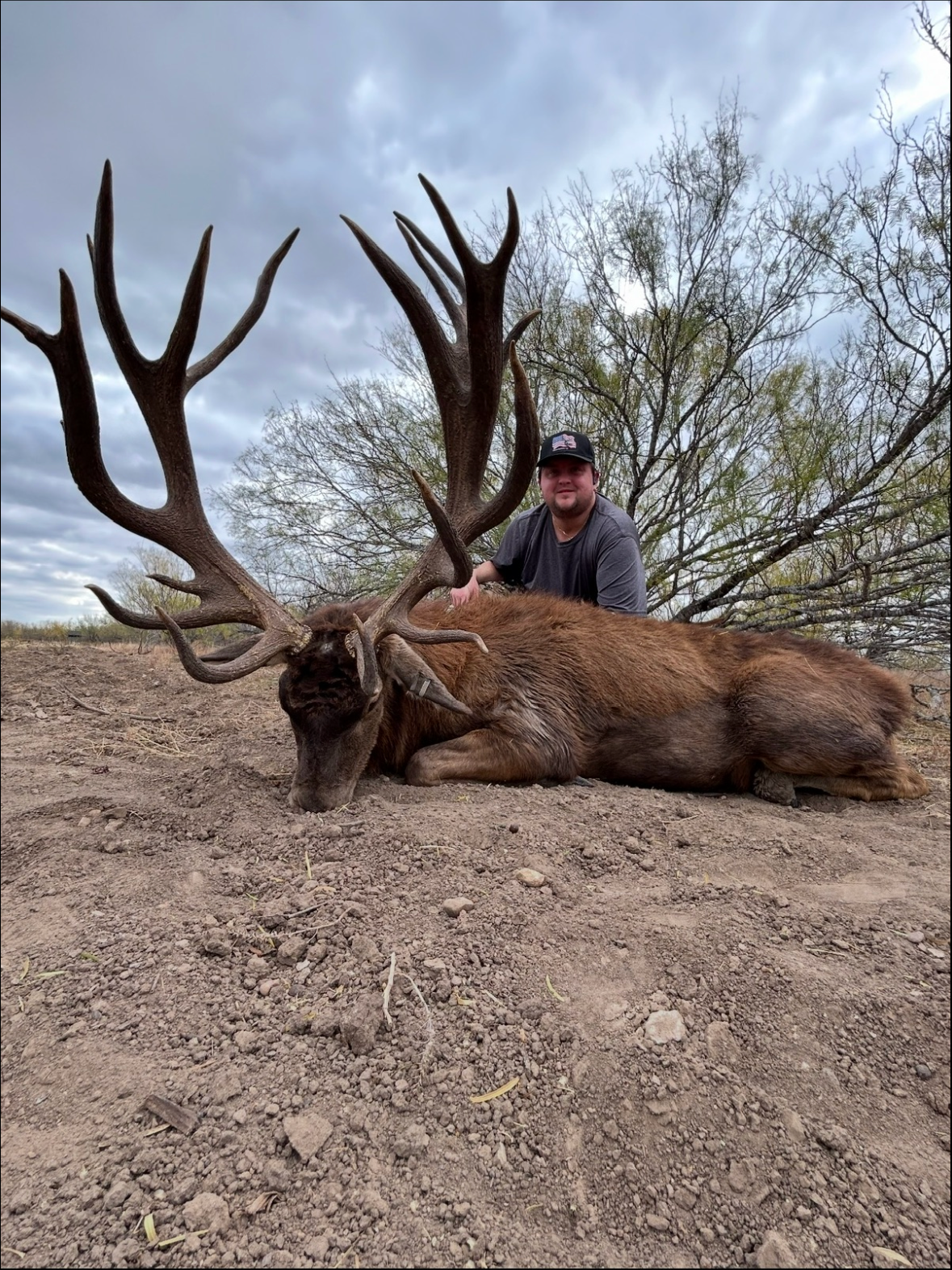 stag+harvest+2.png
