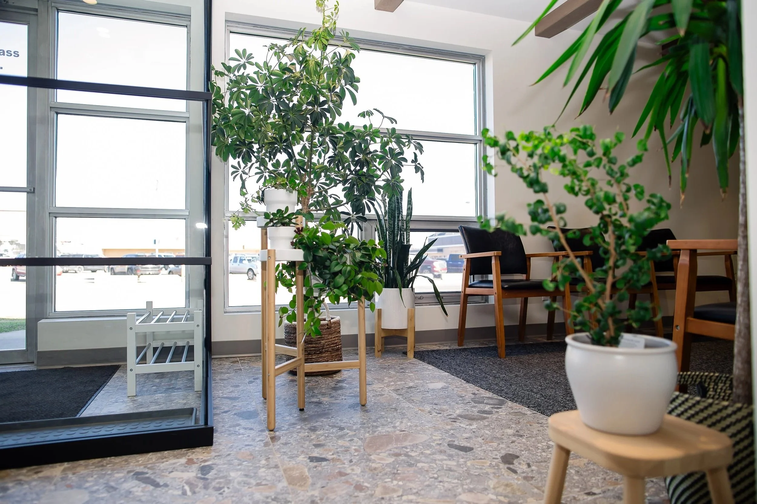 Indoor space with large windows, various green potted plants, wooden chairs, and a black mat on a tile floor.