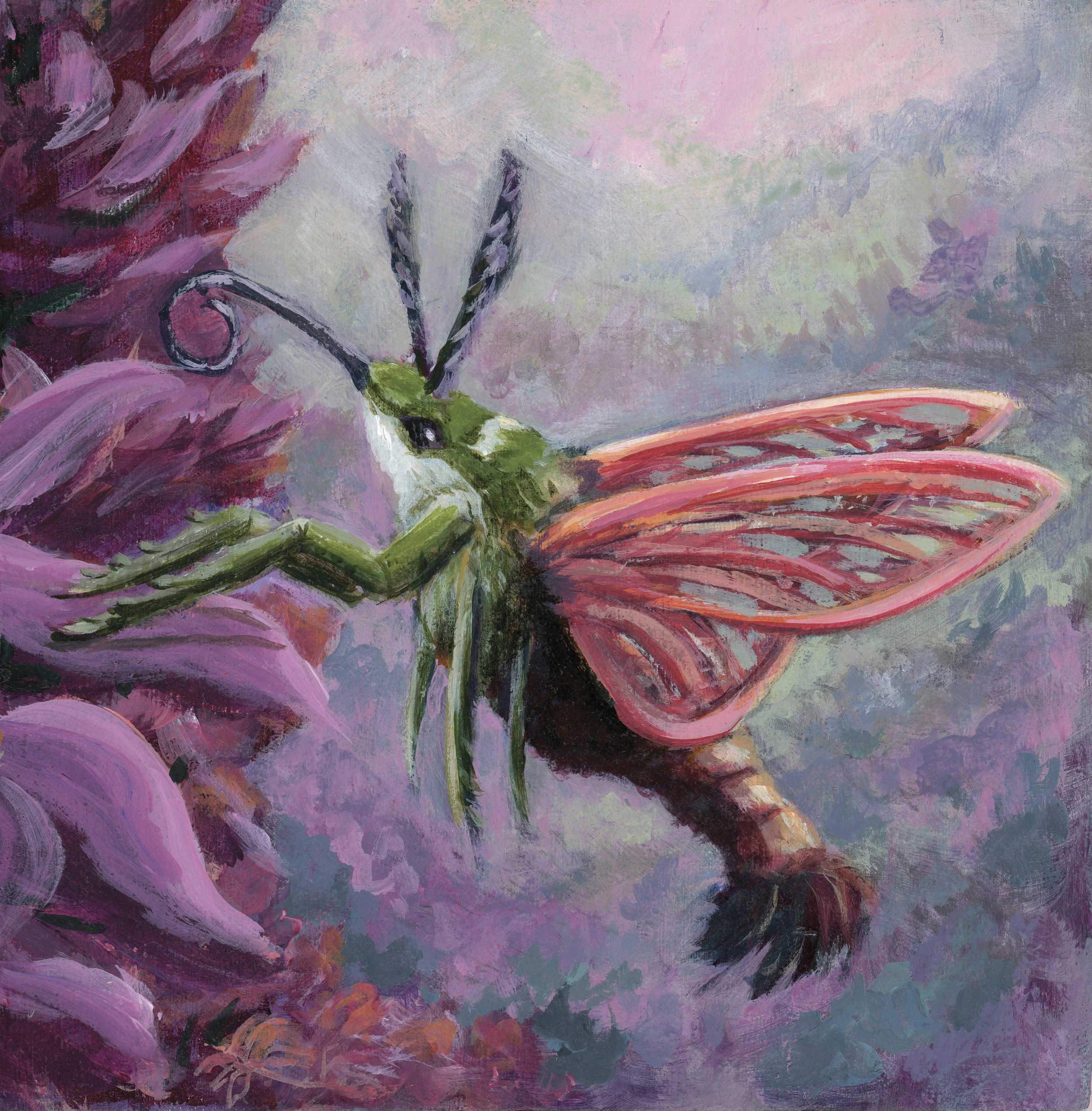 Hummingbird Moth
