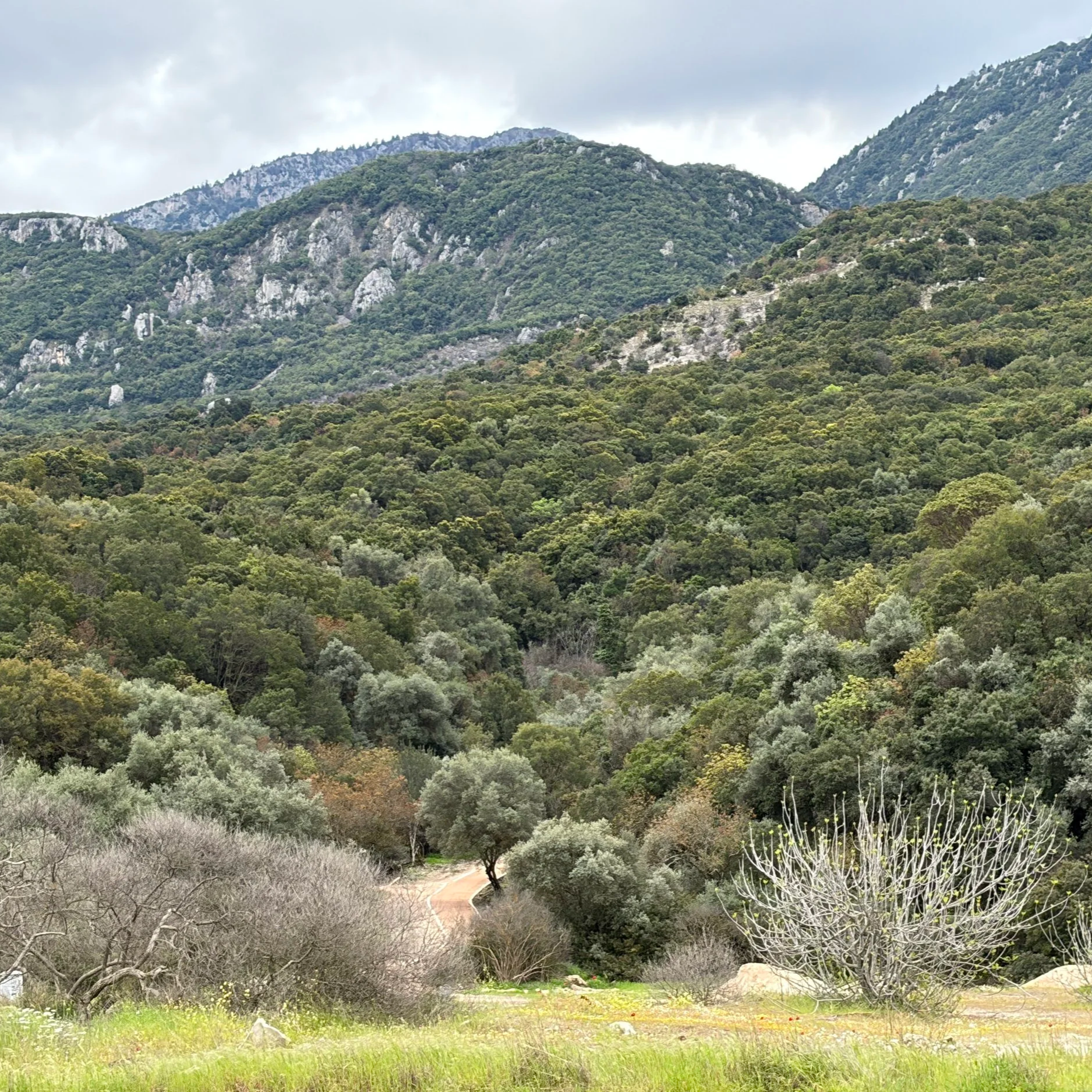 Travels: Thermopylae (2026)