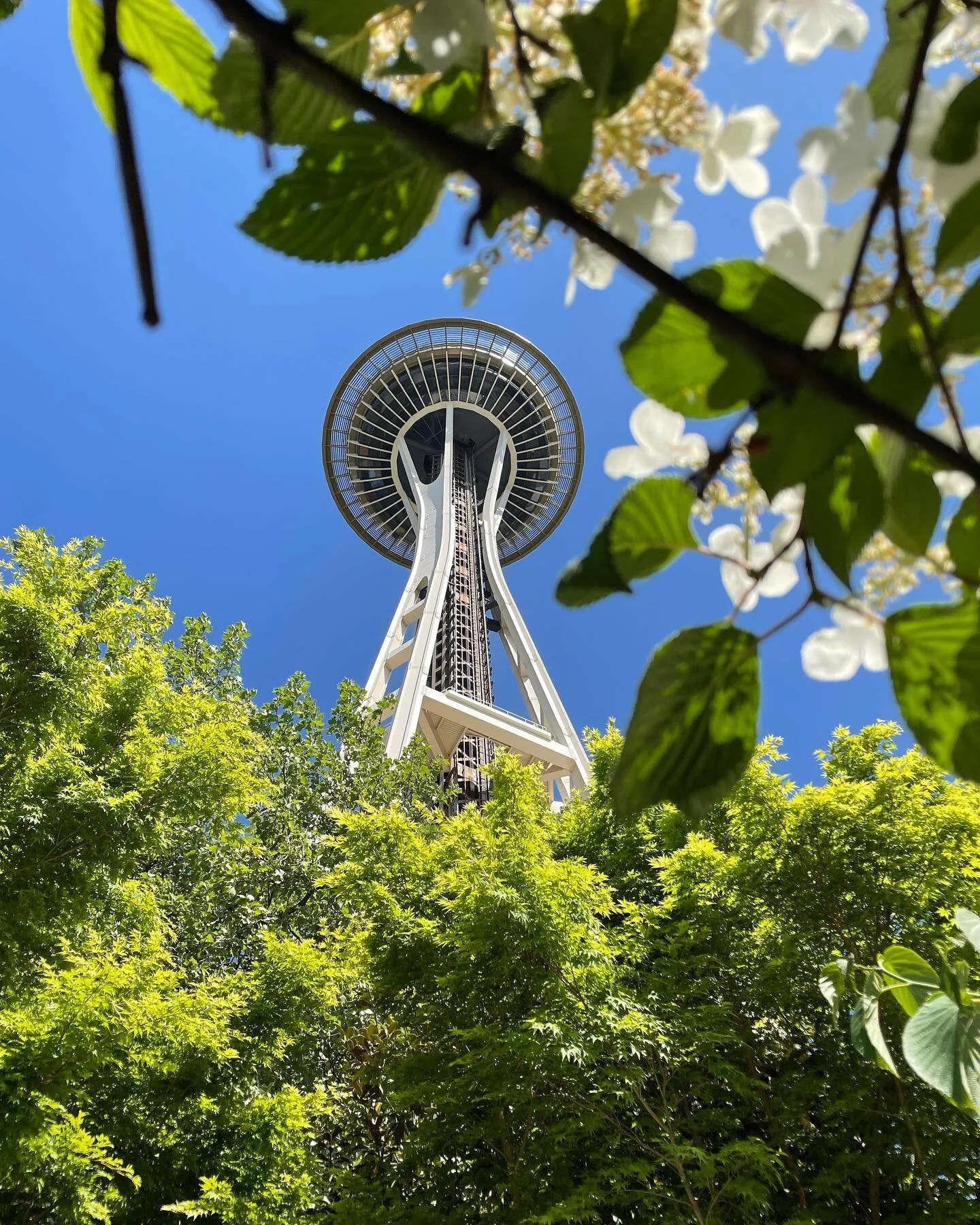 Washington Trip Day 4 - Exploring Seattle

Featuring: Fun finds at Pike Place Market, a delicious breakfast with locally roasted espresso, the view from the space needle, the Chihuly Garden and Glass museum, and sunset at the Gas Works Park