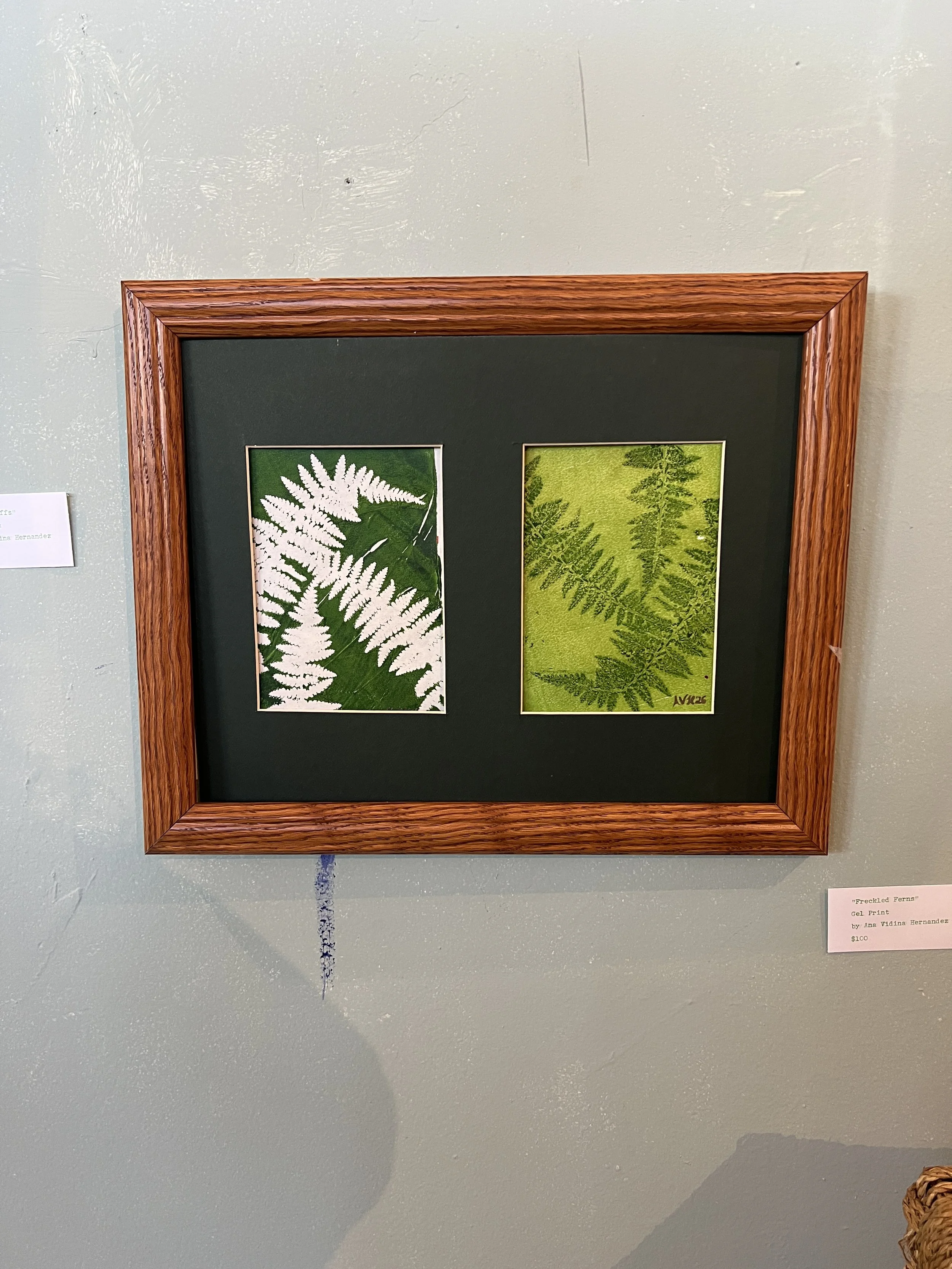 Freckled Ferns