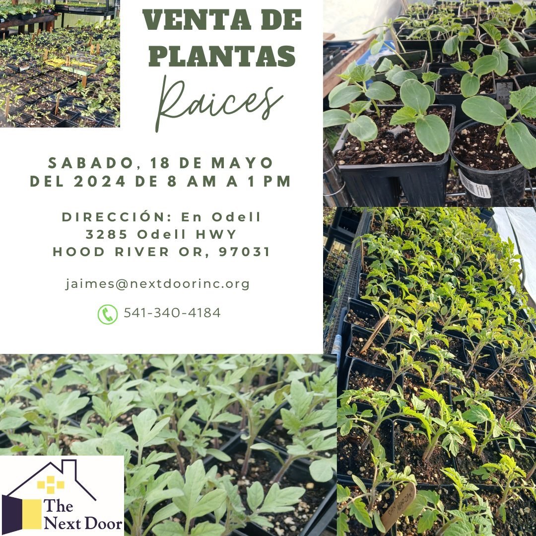 If you missed our plant sale last weekend, we have some good news for you! Our Ra&iacute;ces team will be at our greenhouse in Odell tomorrow, Saturday, May 18th, from 8am to 1pm where you'll have another chance to shop organic plant starts. Hope to 