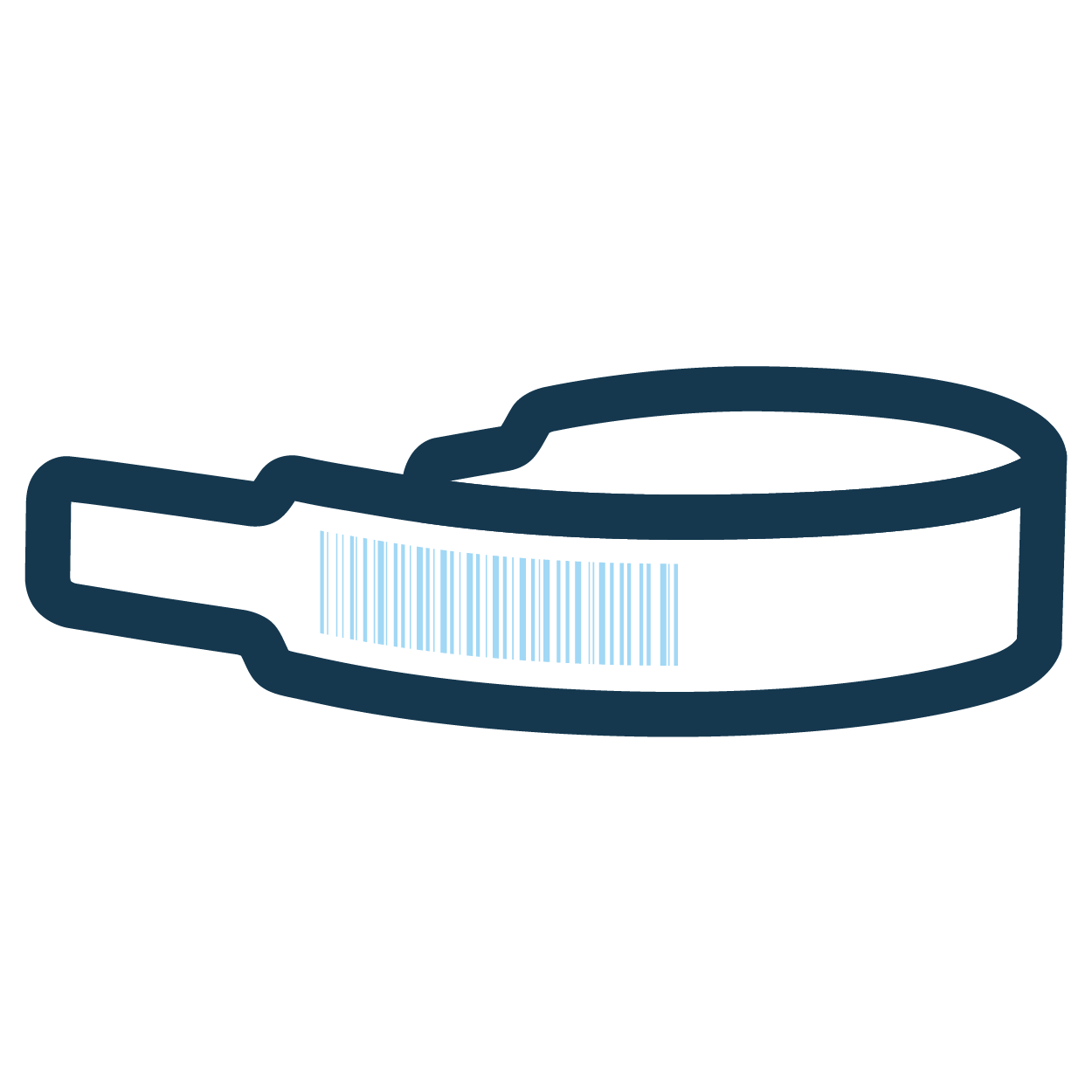 Illustration of a wristband