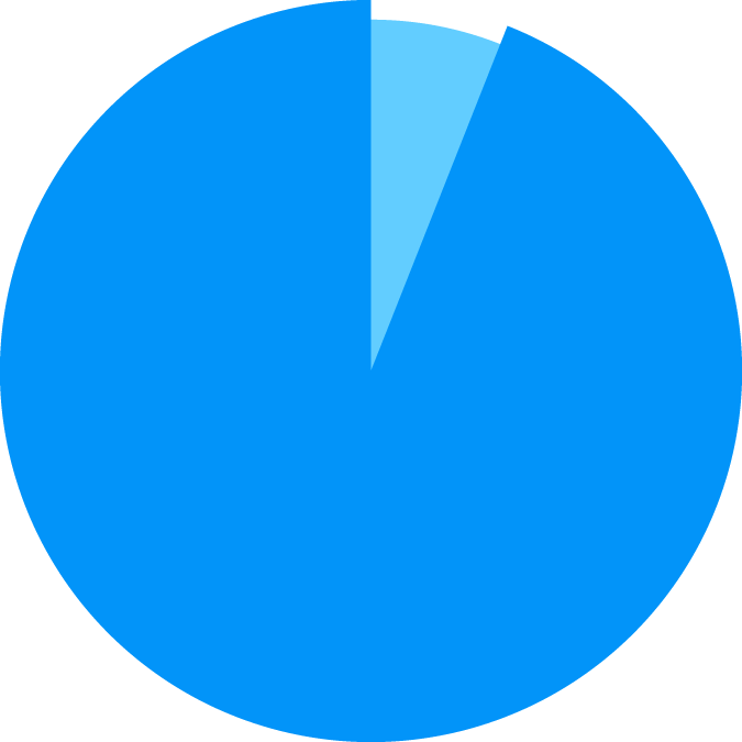 pie graph showing value of 95%