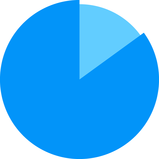 pie graph showing value of 80%