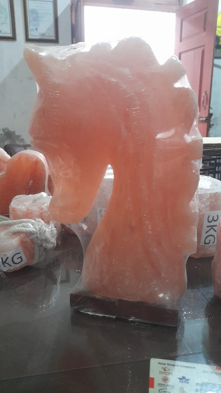 Himalayan Salt Horse Lamp