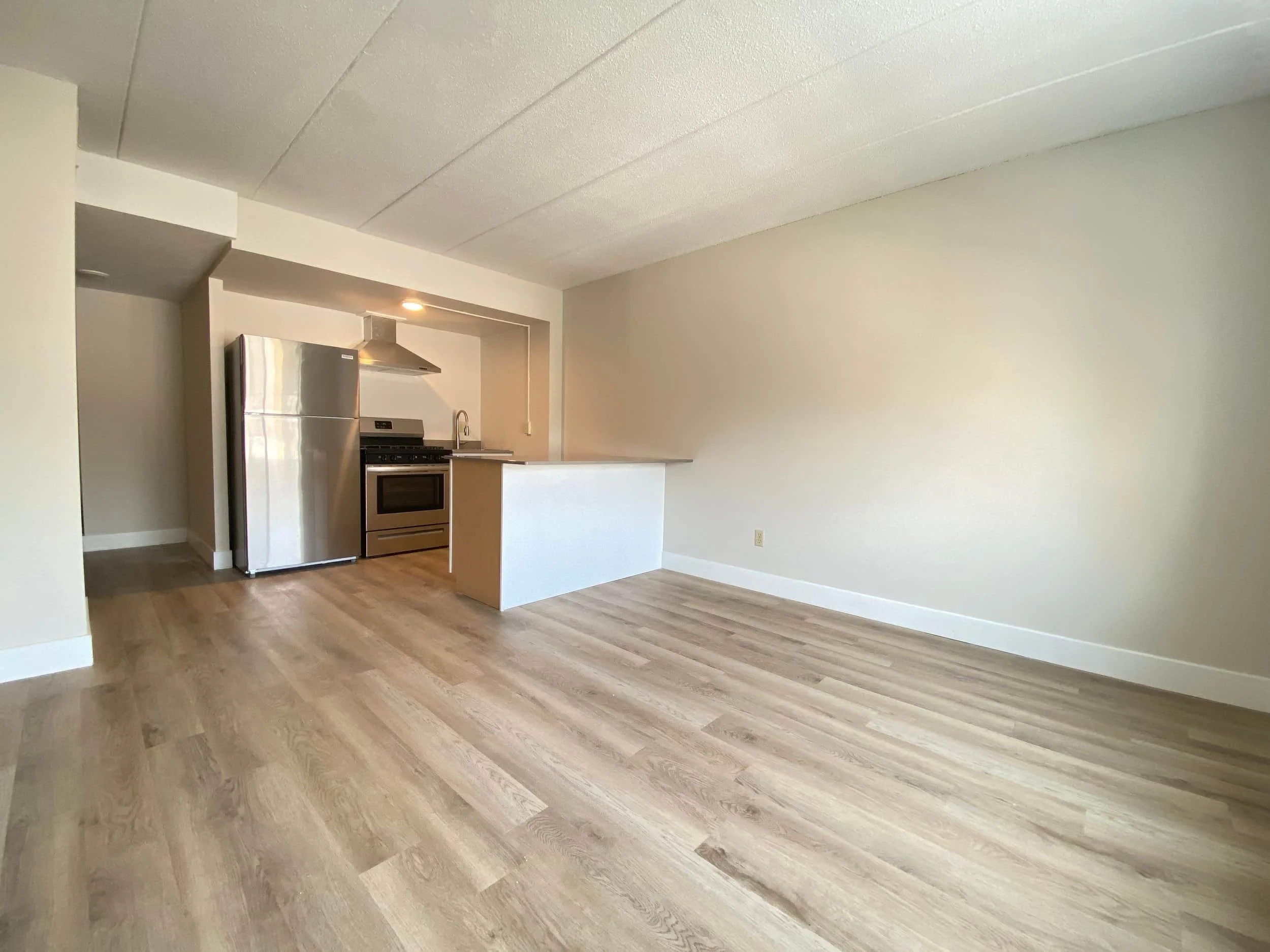 4_compressed (1).jpg