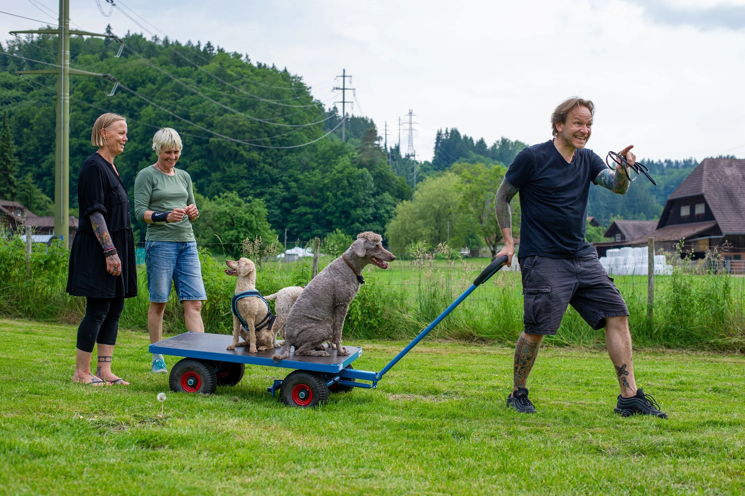 Alltagstraining_Hundeschule Canilogos