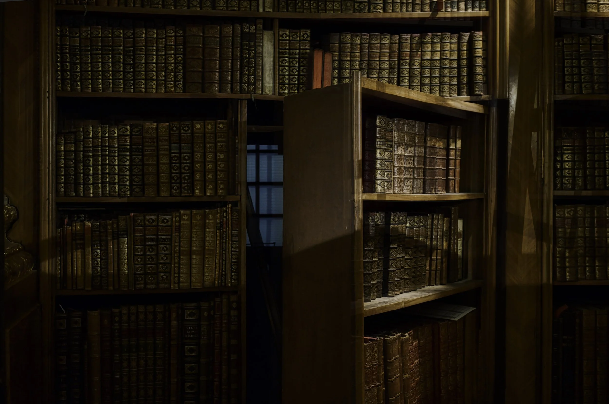 Bookcases filled with old leather-bound books in a library.