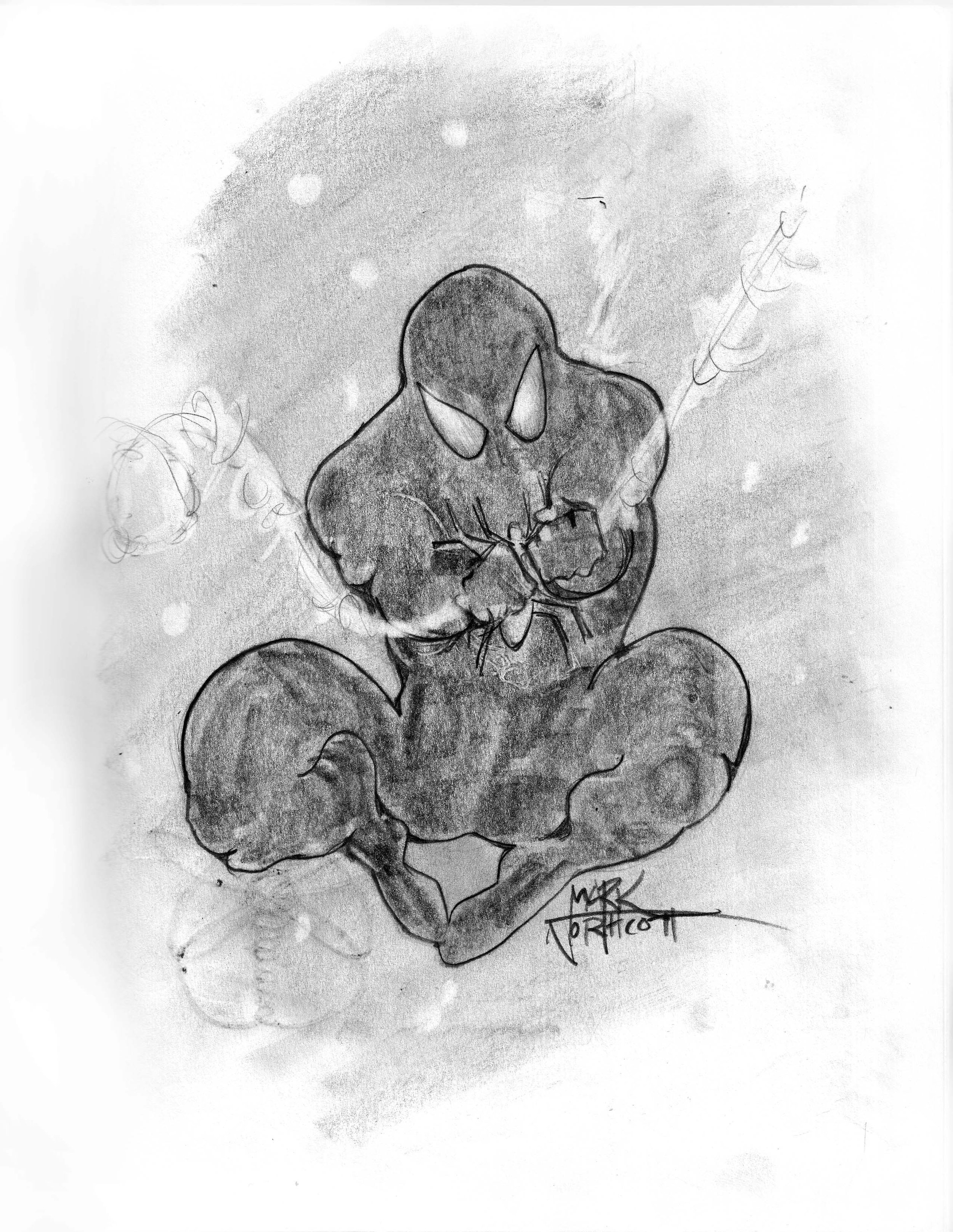 Winter Web-Slinger.jpg