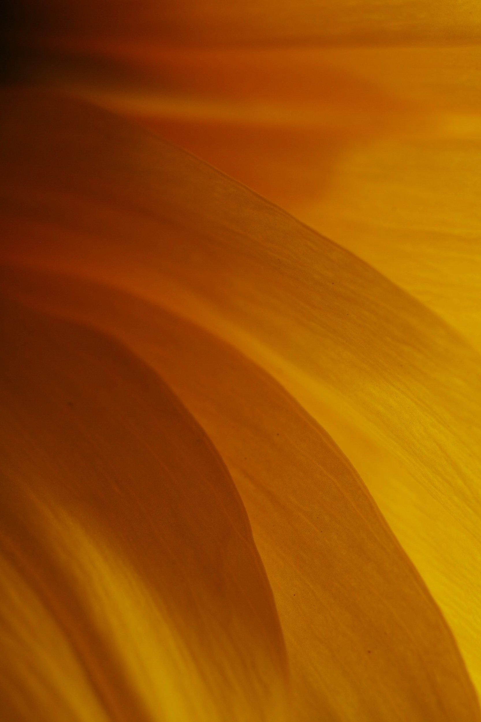 EMDR therapist in Minneapolis, MN providing trauma-informed EMDR therapy