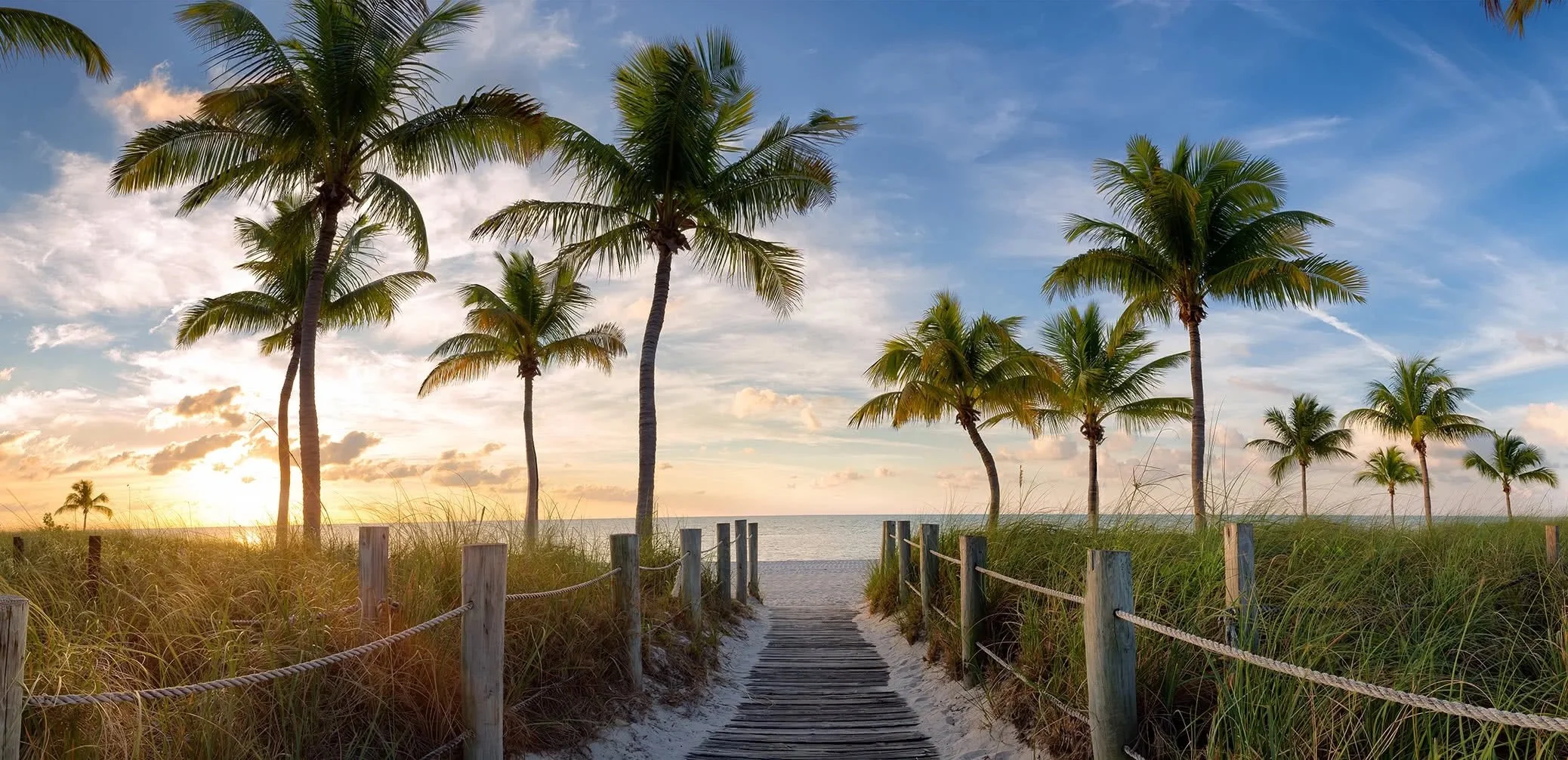 May/June Market Update