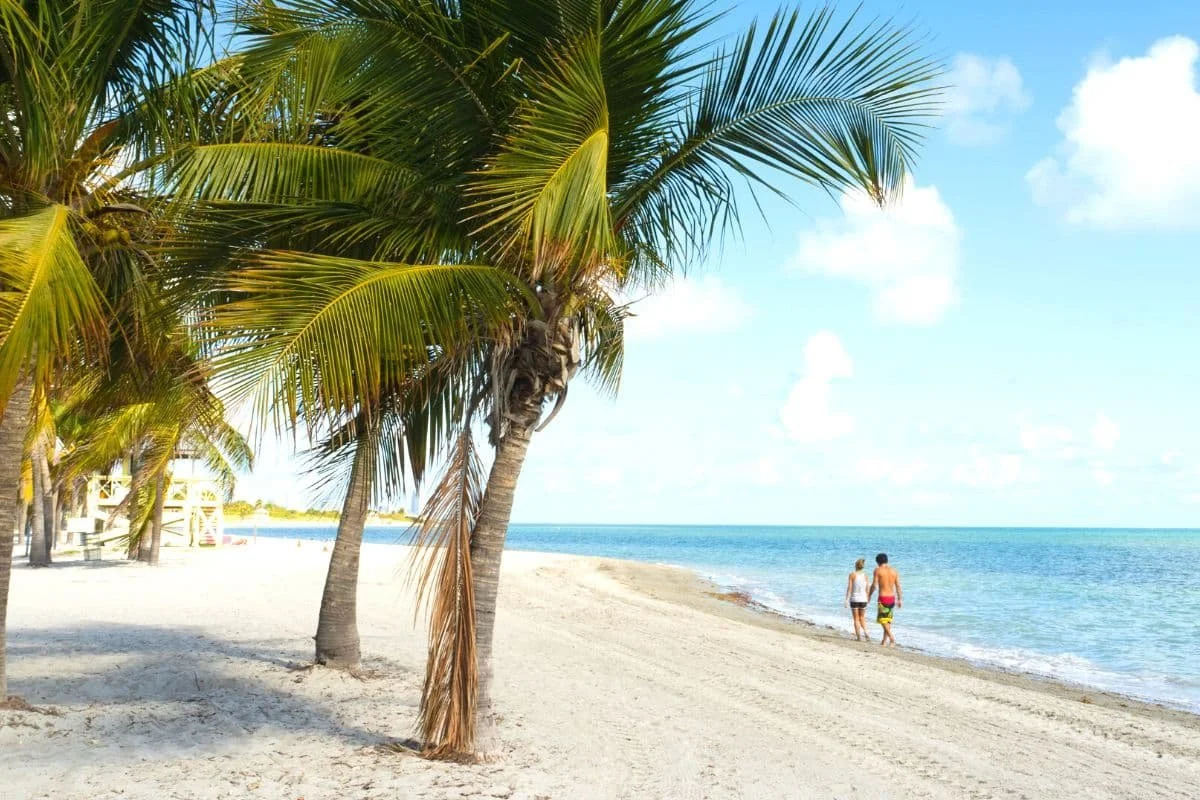 Summer in Miami