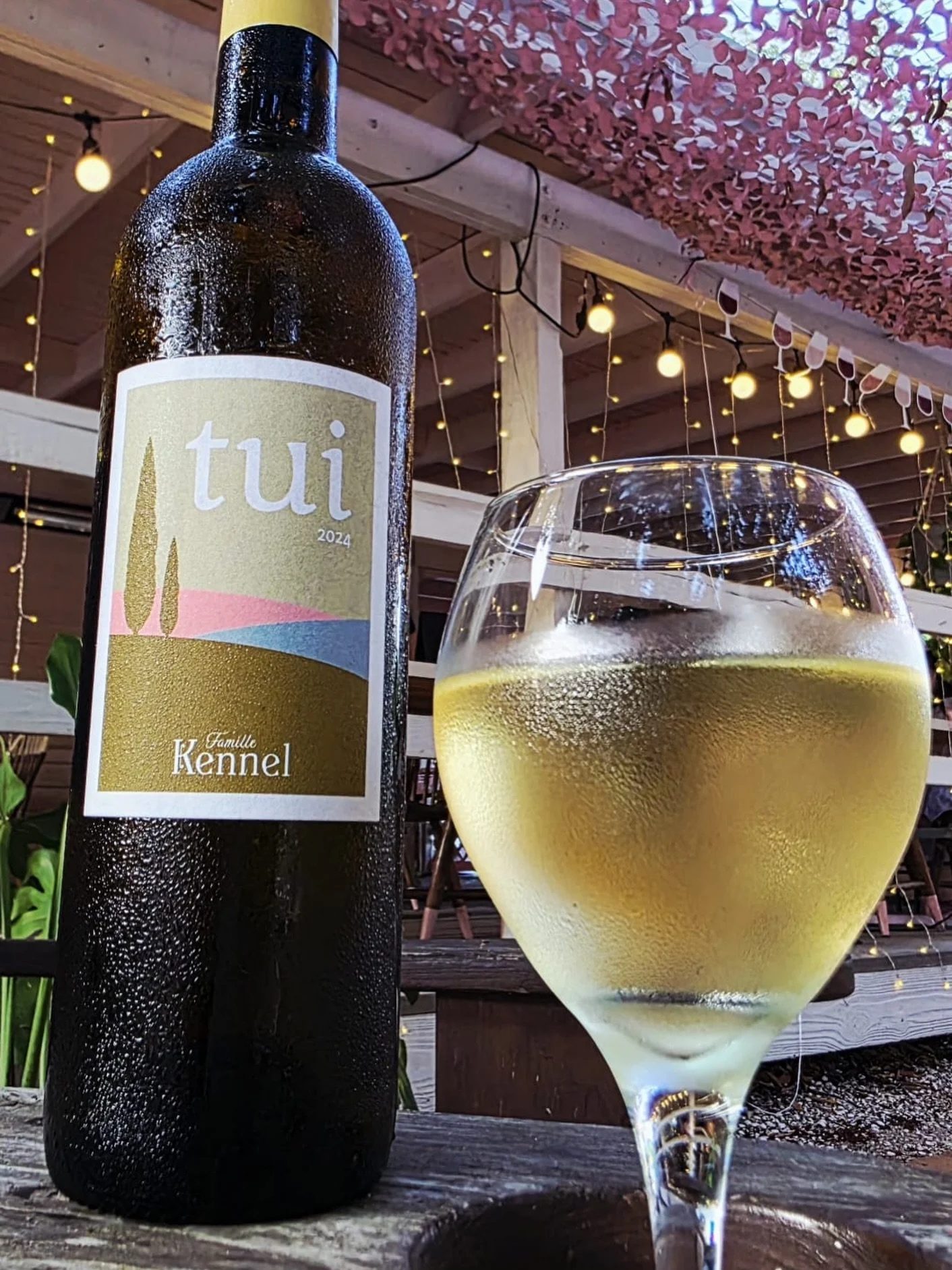 Summertime Tuesdays= HALF-OFF BOTTLE NIGHT! 🍾 

That&rsquo;s right! Enjoy 50% off all our bottles when you&rsquo;re hanging with us each and every Tuesday. 

Rolling into day 4 of our bright &amp; fresh summertime menu full of elevated BBQ, fruits &