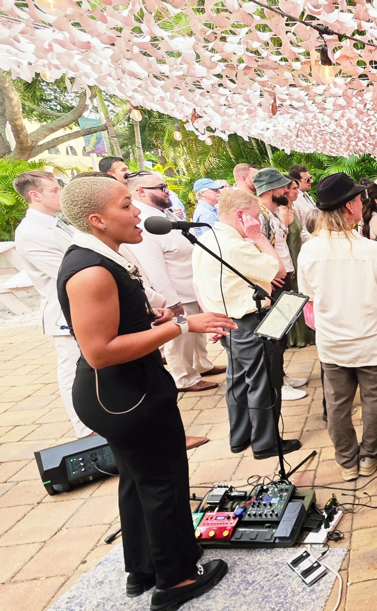 Live Music by Zeta the Babe