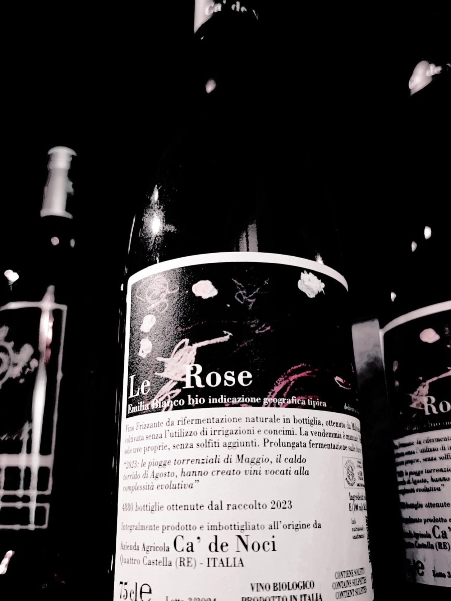 ✨Sommelier&rsquo;s Selection Saturday✨

This week&rsquo;s pick: Ca&rsquo; de la Noci- Le Ros&eacute; 🌸

Fresh, dry, and beautifully balanced with delicate berry notes and bright acidity. The perfect sip for a sunny Gulfport afternoon or a slow eveni