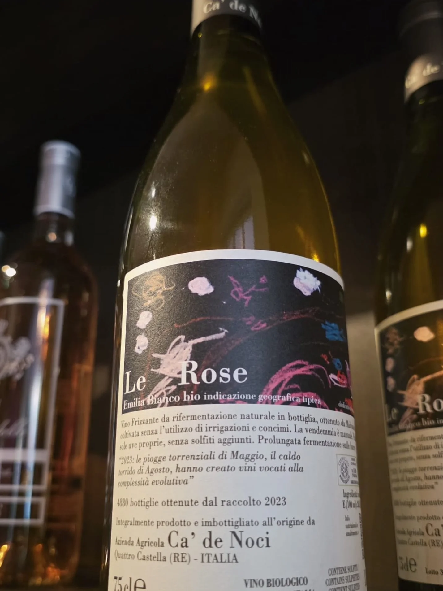 🍷 Sommelier Saturday 🍷

Today&rsquo;s pick: Ca&rsquo; de Noci &ldquo;Le Rose&rdquo; 🇮🇹🫧

A dry, naturally sparkling ros&eacute; from Emilia-Romagna, Italy, made with native Italian grapes Lambrusco Grasparossa, Malbo Gentile &amp; Sgavetta.

Bri