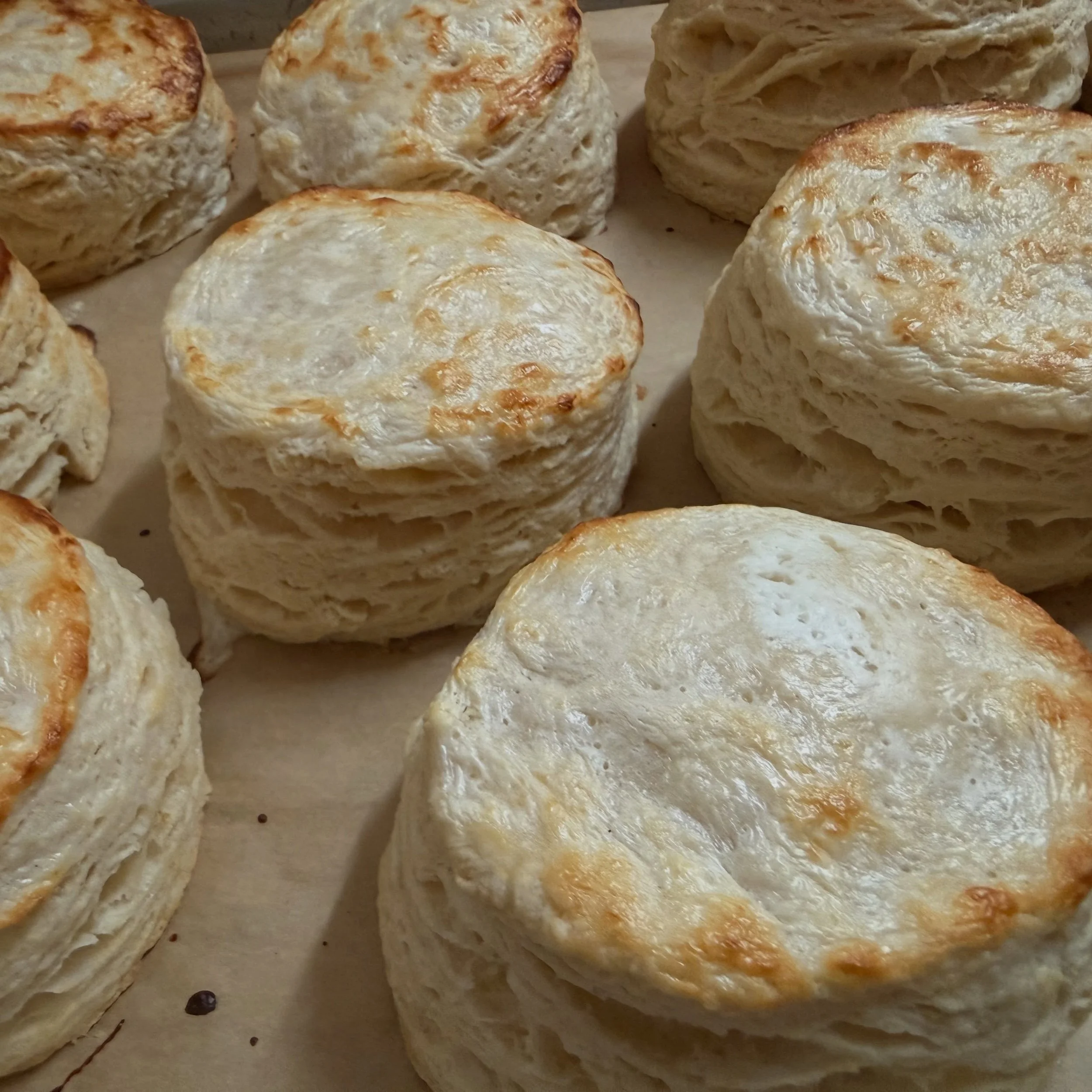 ✨Sunday Brunch Day✨

Enjoy homemade buttermilk biscuits every Sunday 11am-2pm on at The Wine House in Gulfport 🥂 

✨$25 unlimited mimosas
✨$6 single mimosas
✨Espresso Martinis &amp; Homemade Sangria 

Our full menu is also available beginning at 11a