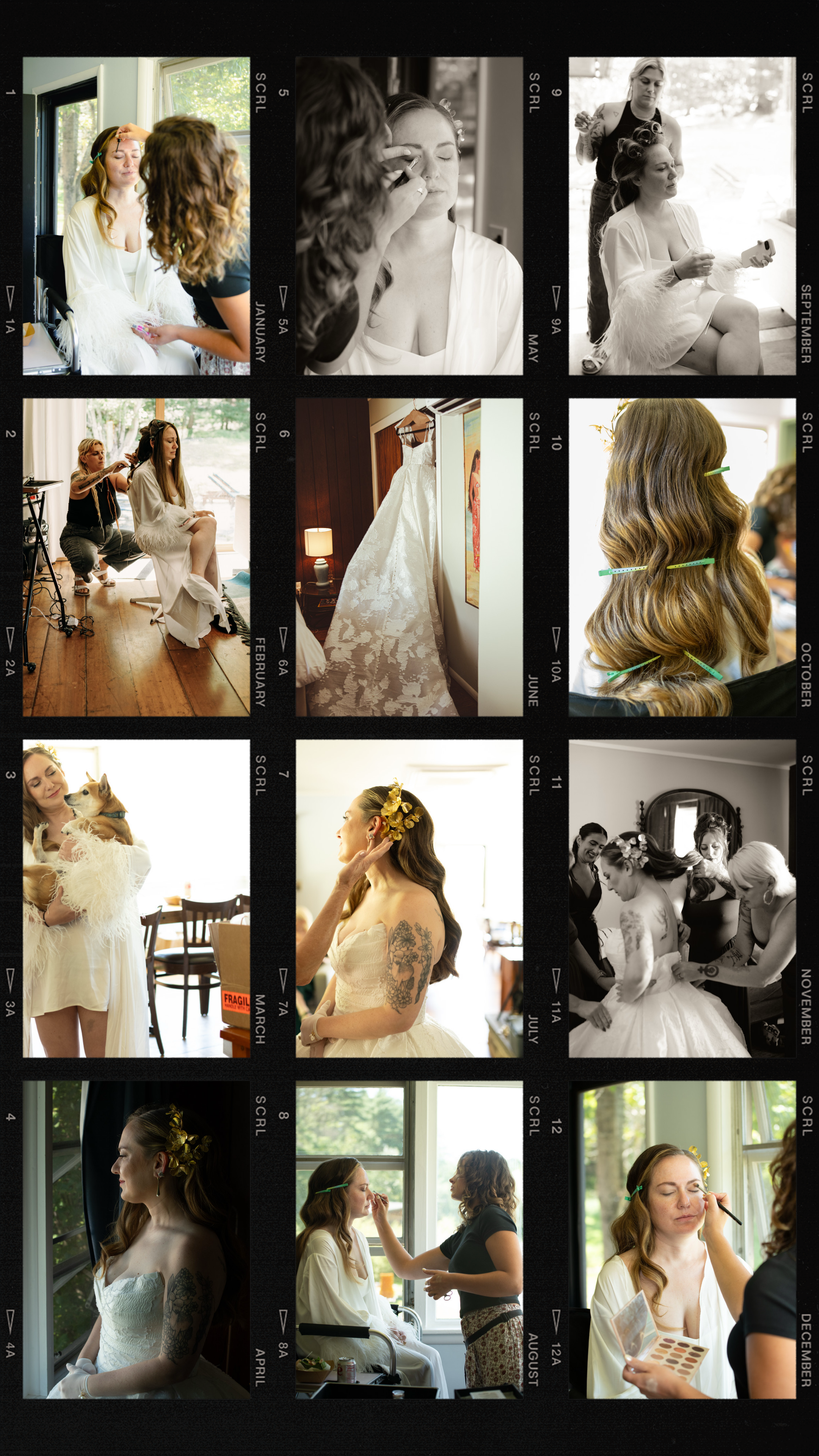 The Social Media Rebellion: Taming the Algorithm