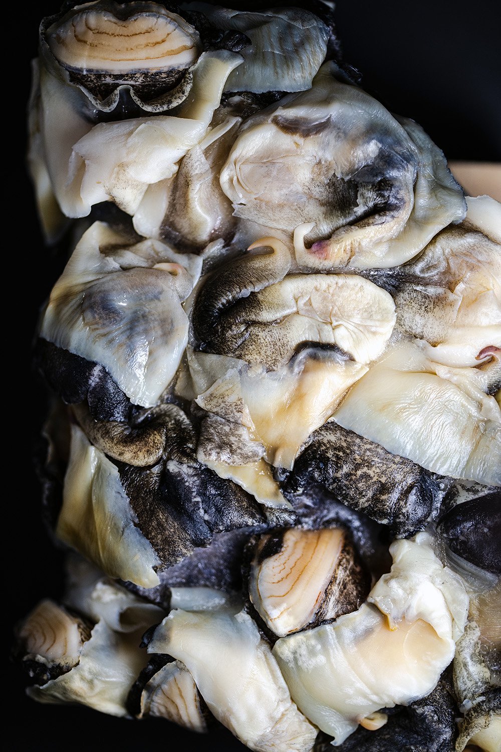 seafood-photography-food-styling-franny-rambousek