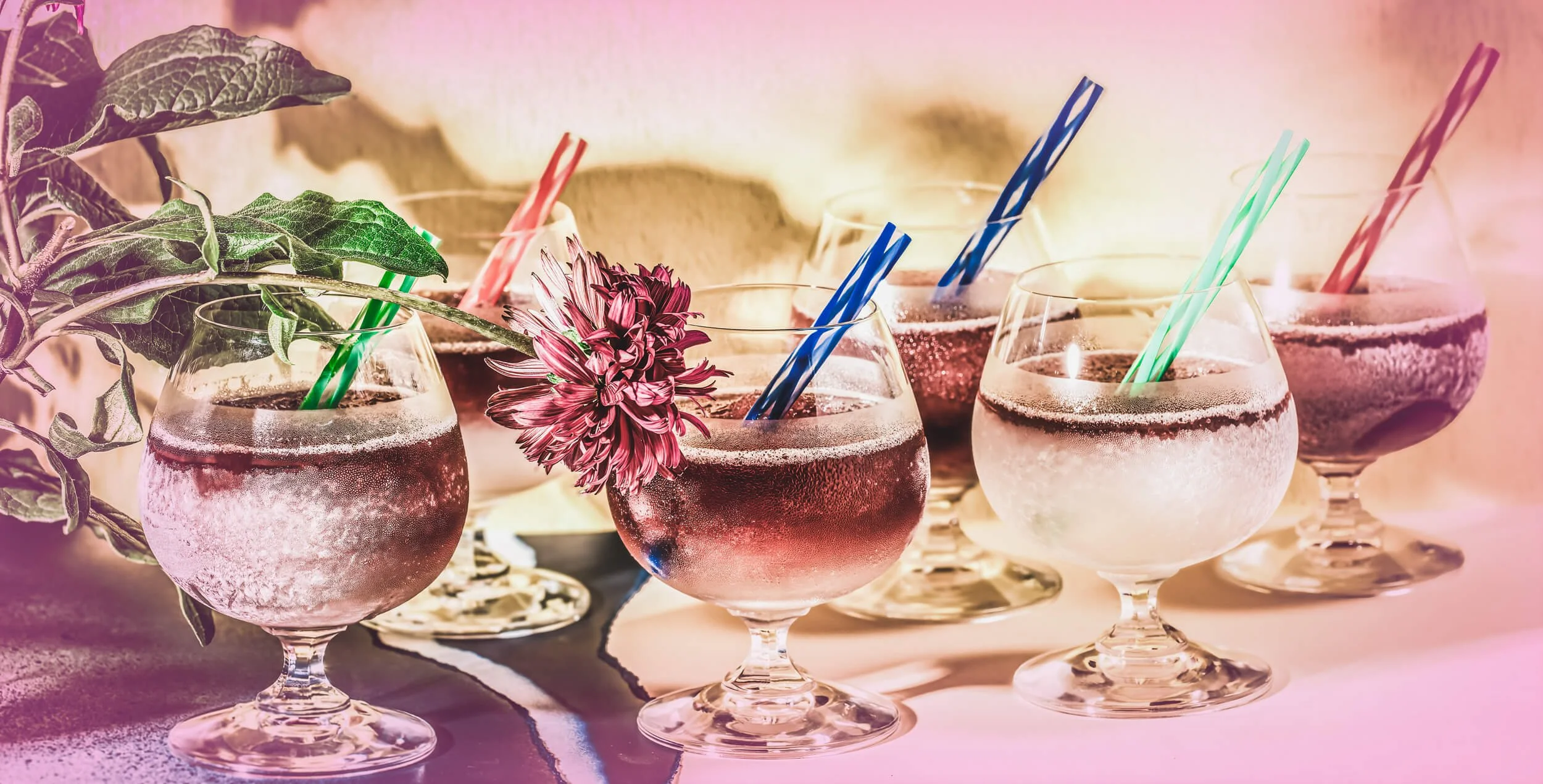 Sangrita-on-a-Sunny-Day copy.jpg