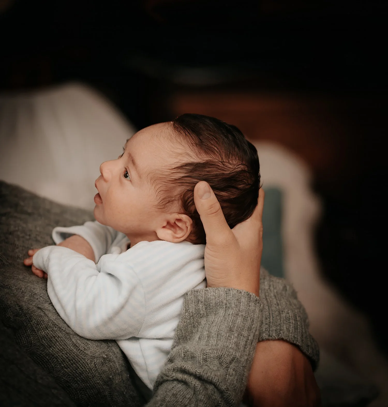 newborn_portraits.jpg