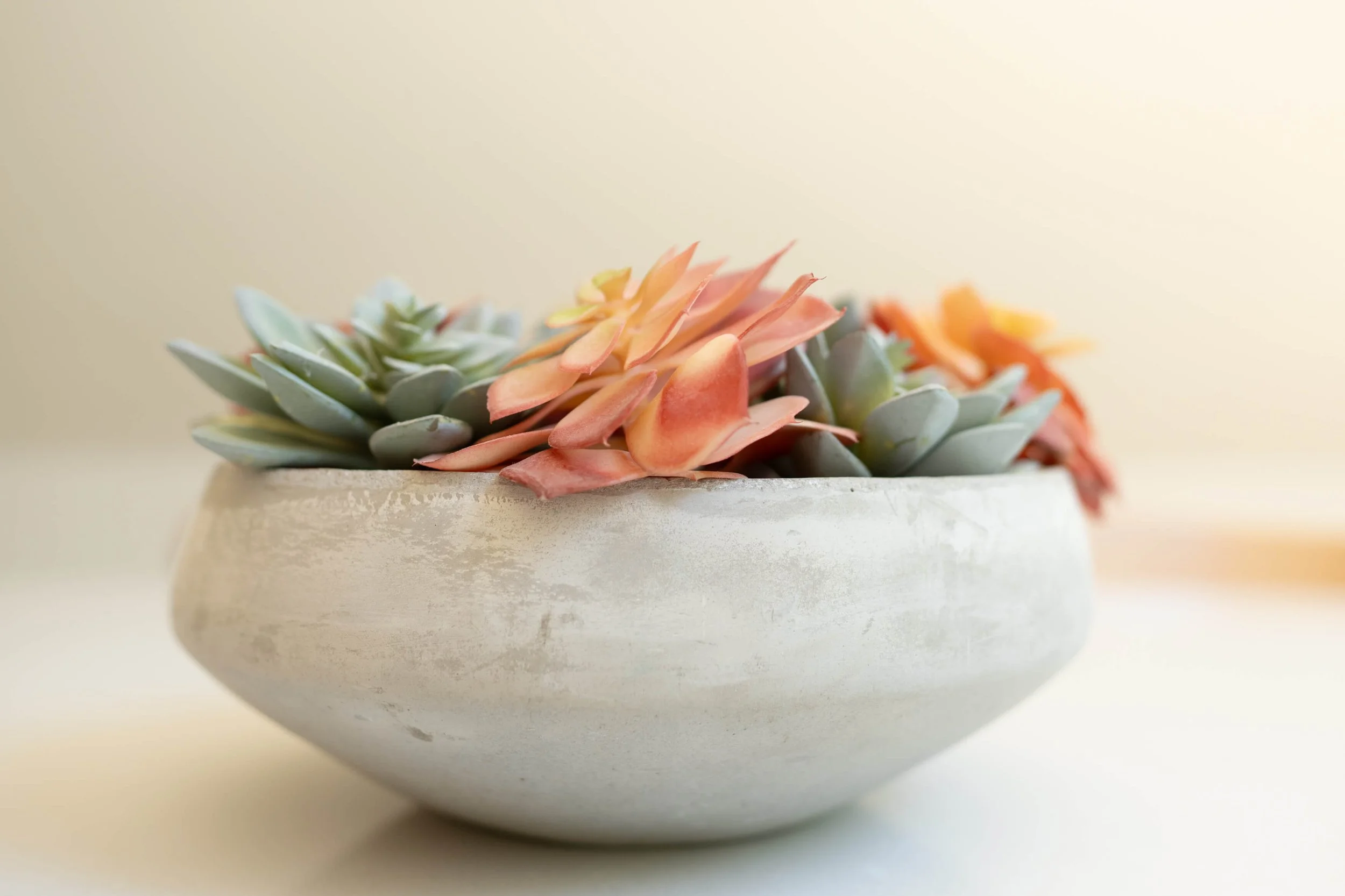 home-decor.jpg