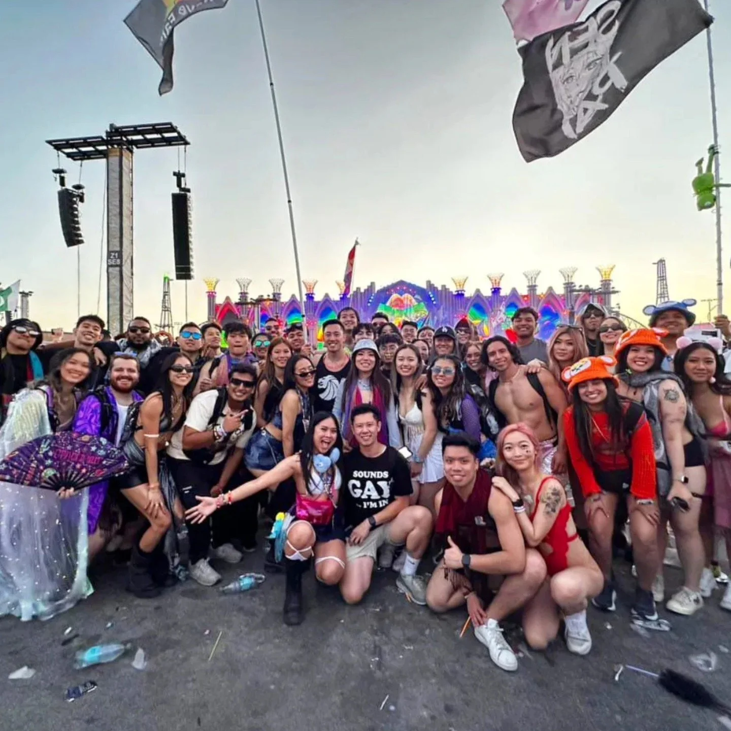 EDC Las Vegas 4.jpg