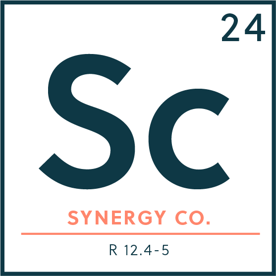 www.synergyco.online