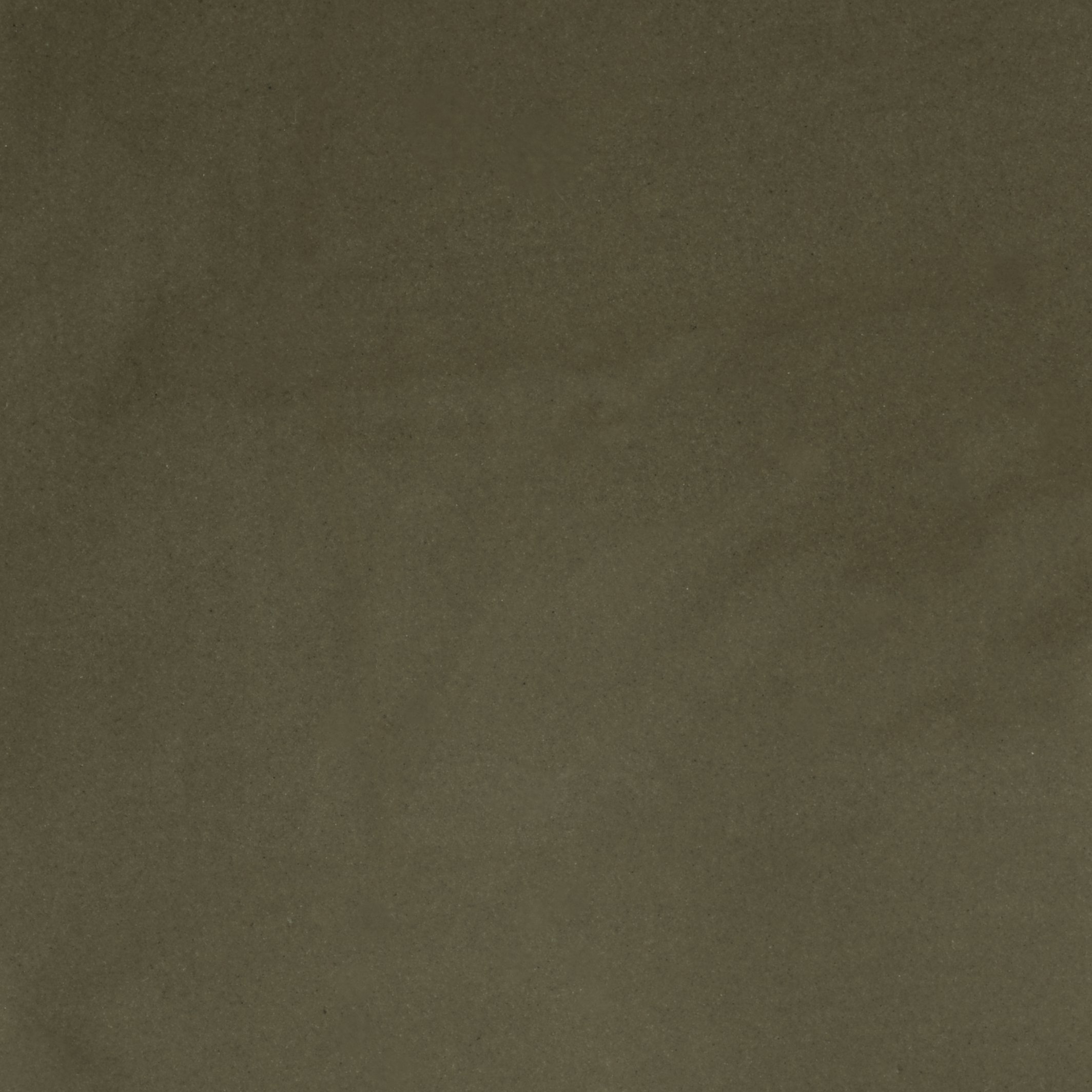 __DSF7968_KELP.jpg