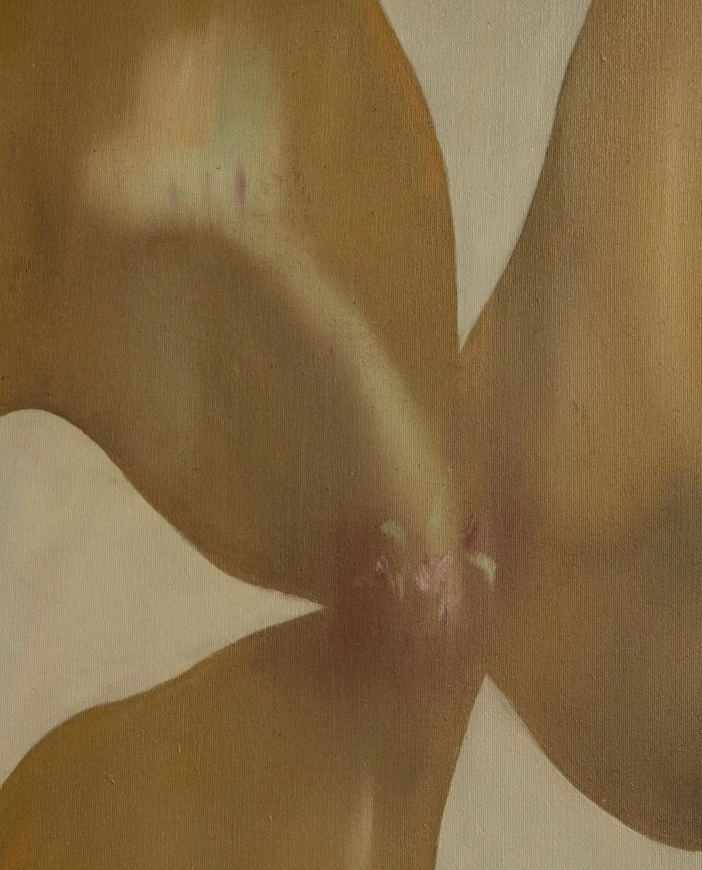 Today marks 1 month of our little shop here in Clarksburg. It has been such a joy meeting so many sweet new faces and being welcomed so warmly into this beautiful community. Every visit, kind word and shared moment has meant so much to me &mdash; I f