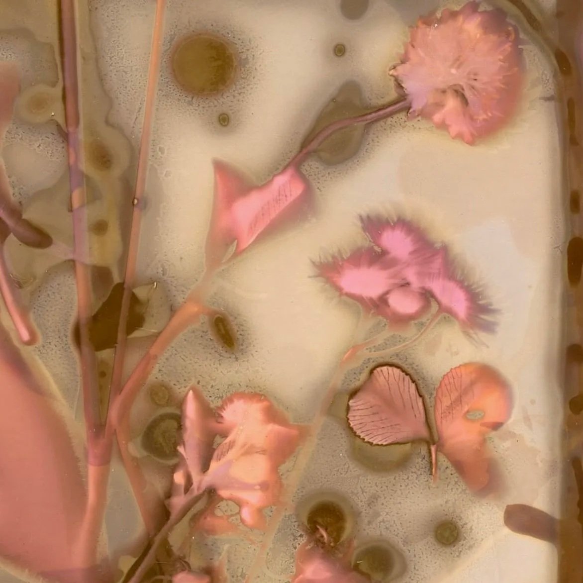 8895332F-E651-43AB-96B8-C48BF58EC9F9_1_201_a.jpg