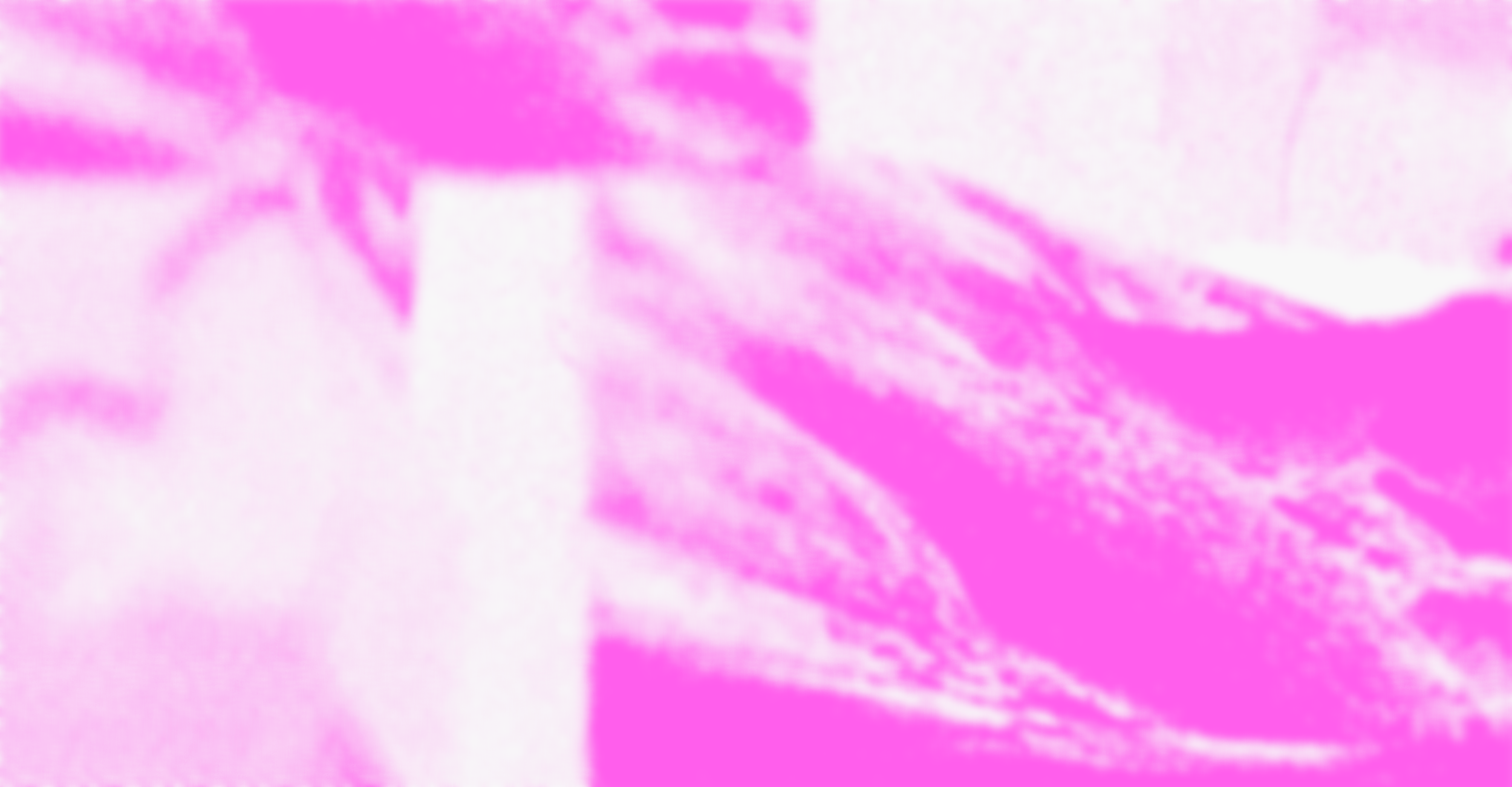 Close-up image of pink and white flower petals with soft focus.