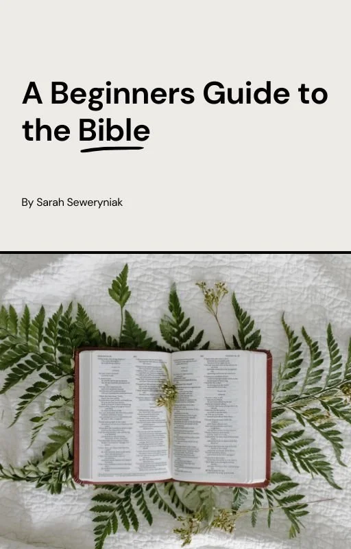 Cover to E-Book a Beginners Guide to the Bible