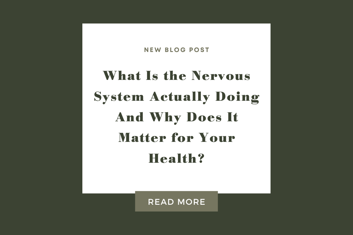 What Is the Nervous System Actually Doing And Why Does It Matter for Your Health?