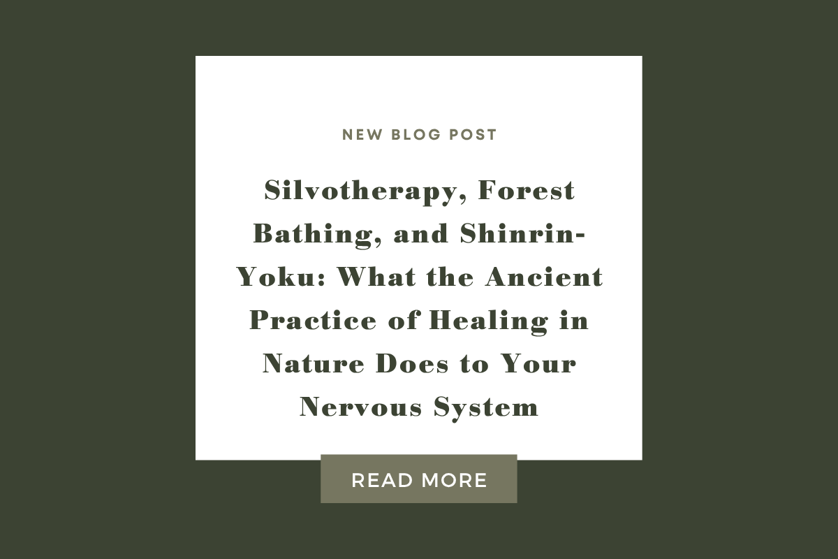 Silvotherapy, Forest Bathing, and Shinrin-Yoku: What the Ancient Practice of Healing in Nature Does to Your Nervous System