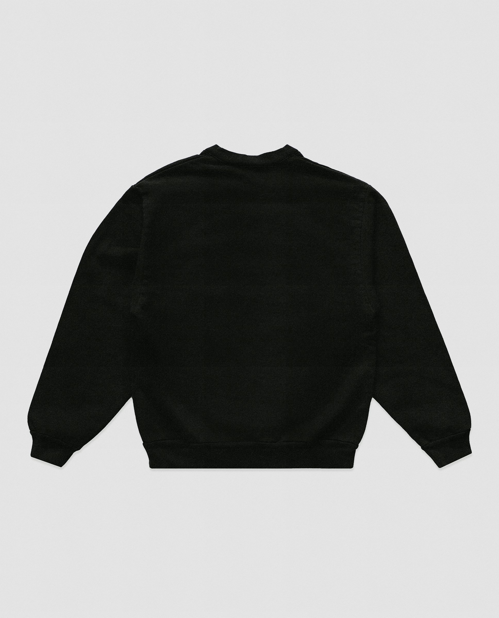 Crevice-Christ-Car-Crewneck-Back.jpg